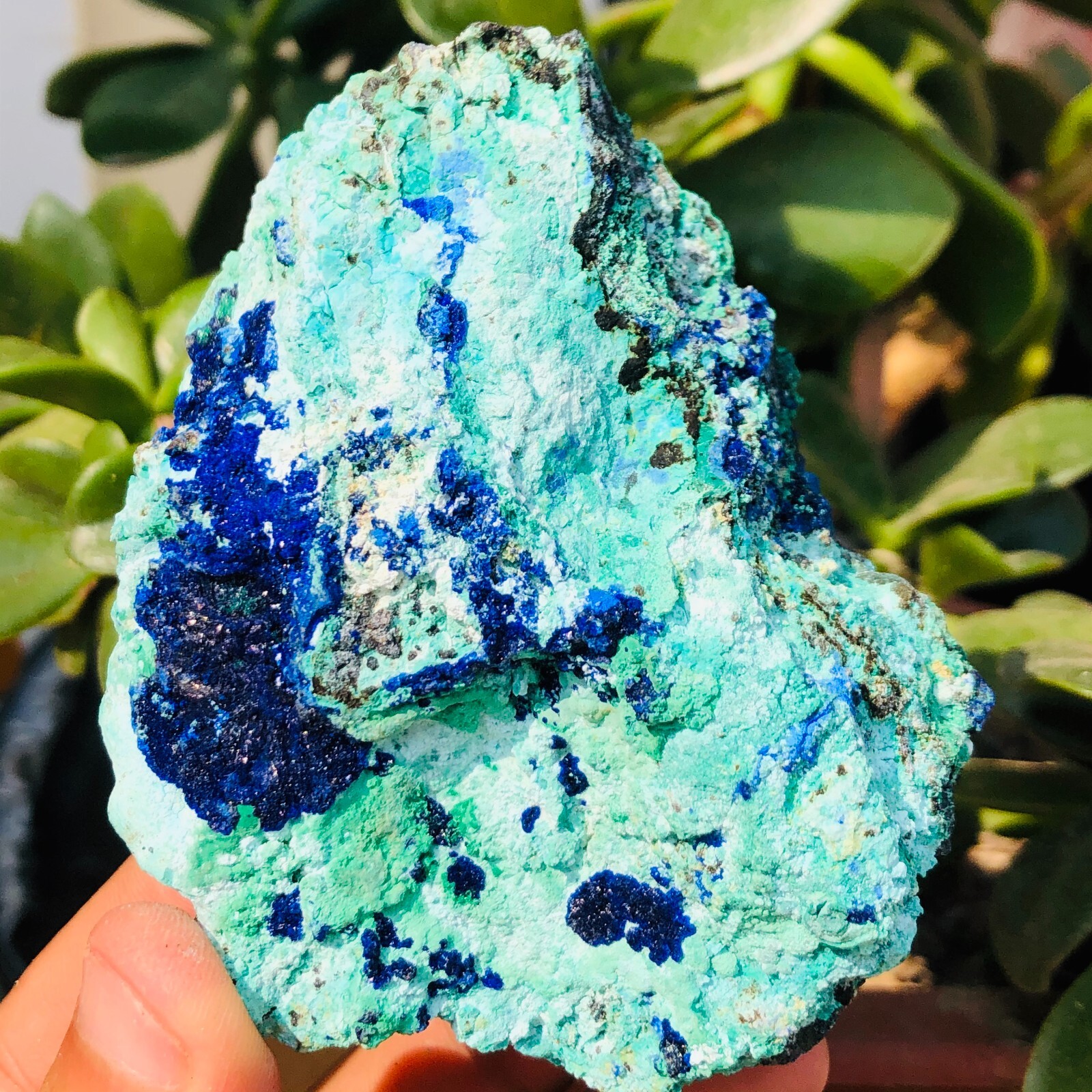 300g BEST NATURAL Azurite/Malachite crystal minerals specimens