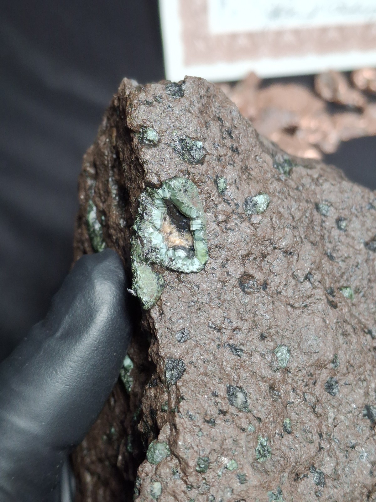 2lb 9oz Big Chunky Raw Greenstone Bright Isle Royale Chlorastrolite In Matrix