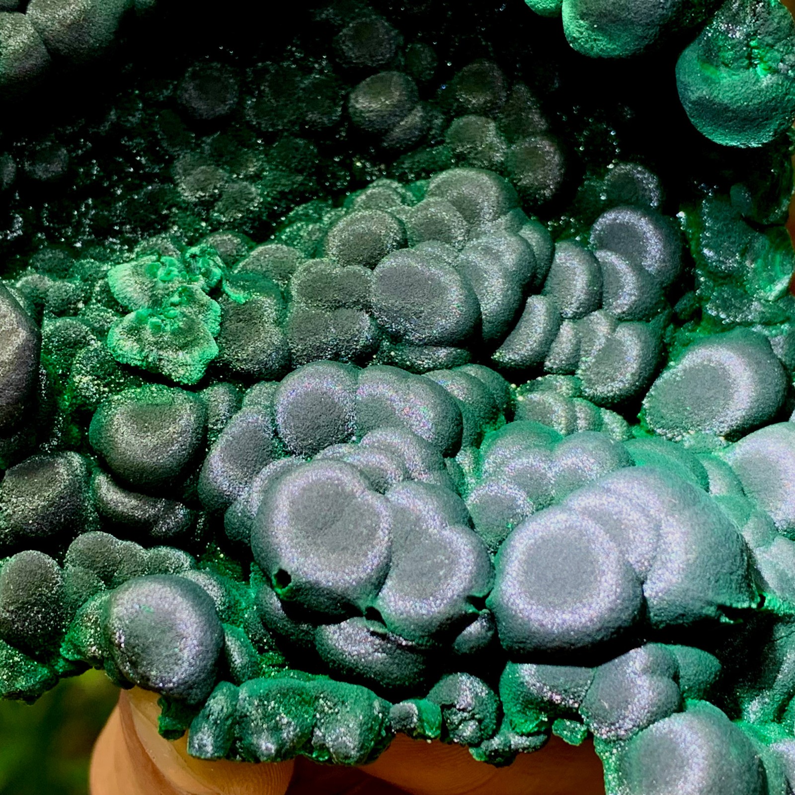 205g Natural glossy malachite cat eye transparent cluster rough mineral Sample