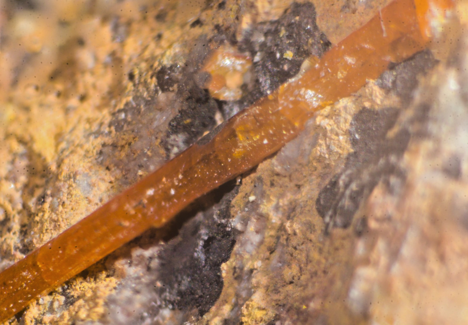 Mimetite: Mammoth St. Anthony Mine, Tiger, Pinal Co., Arizona