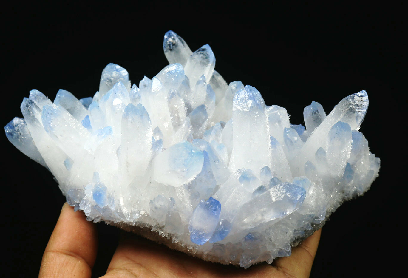 1.93lb Rare Beatiful Blue Tibetan Ghost phantom Quartz Crystal Cluster Specimen