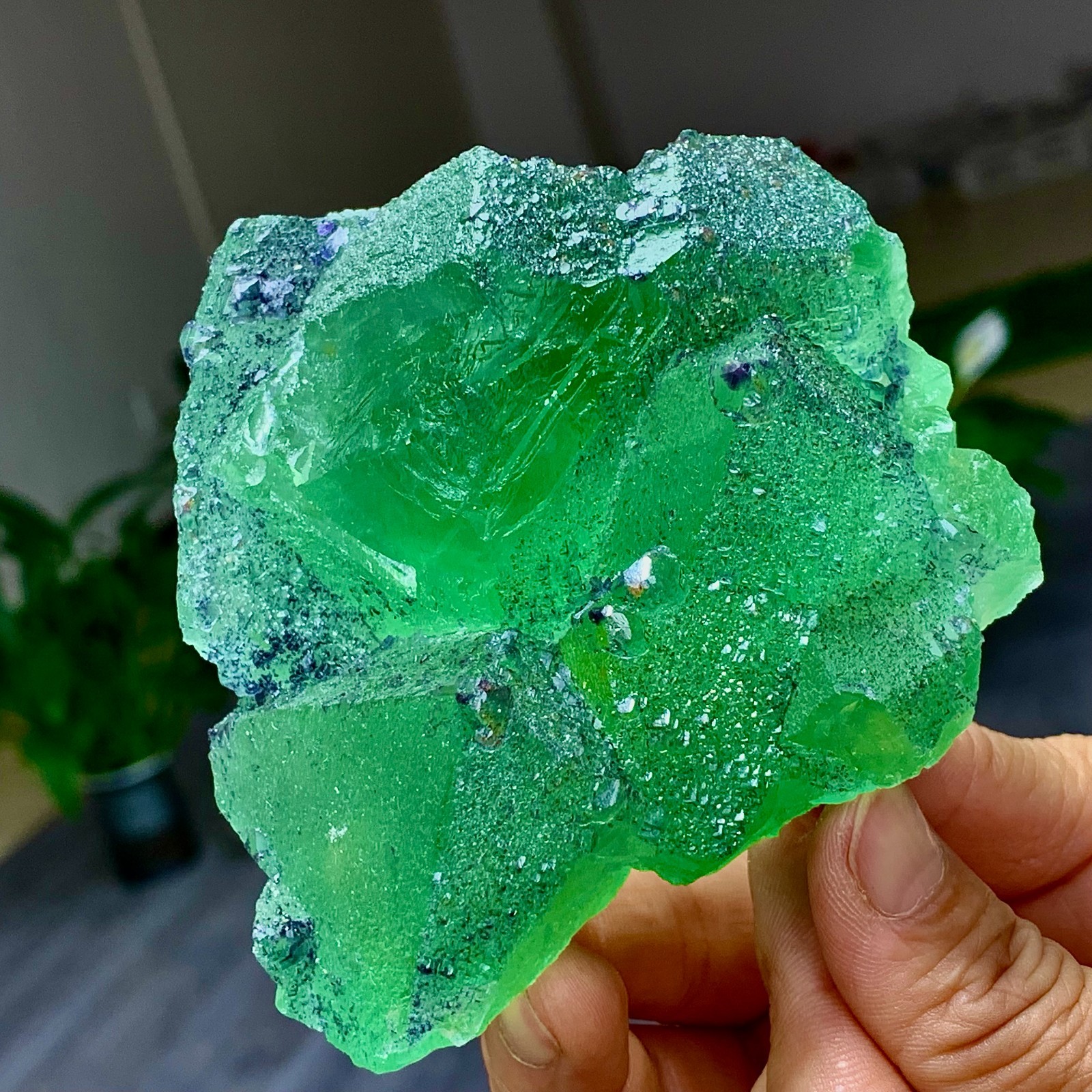 1.24LB Rare transparent green cubic Zhejiang fluorite mineral sample