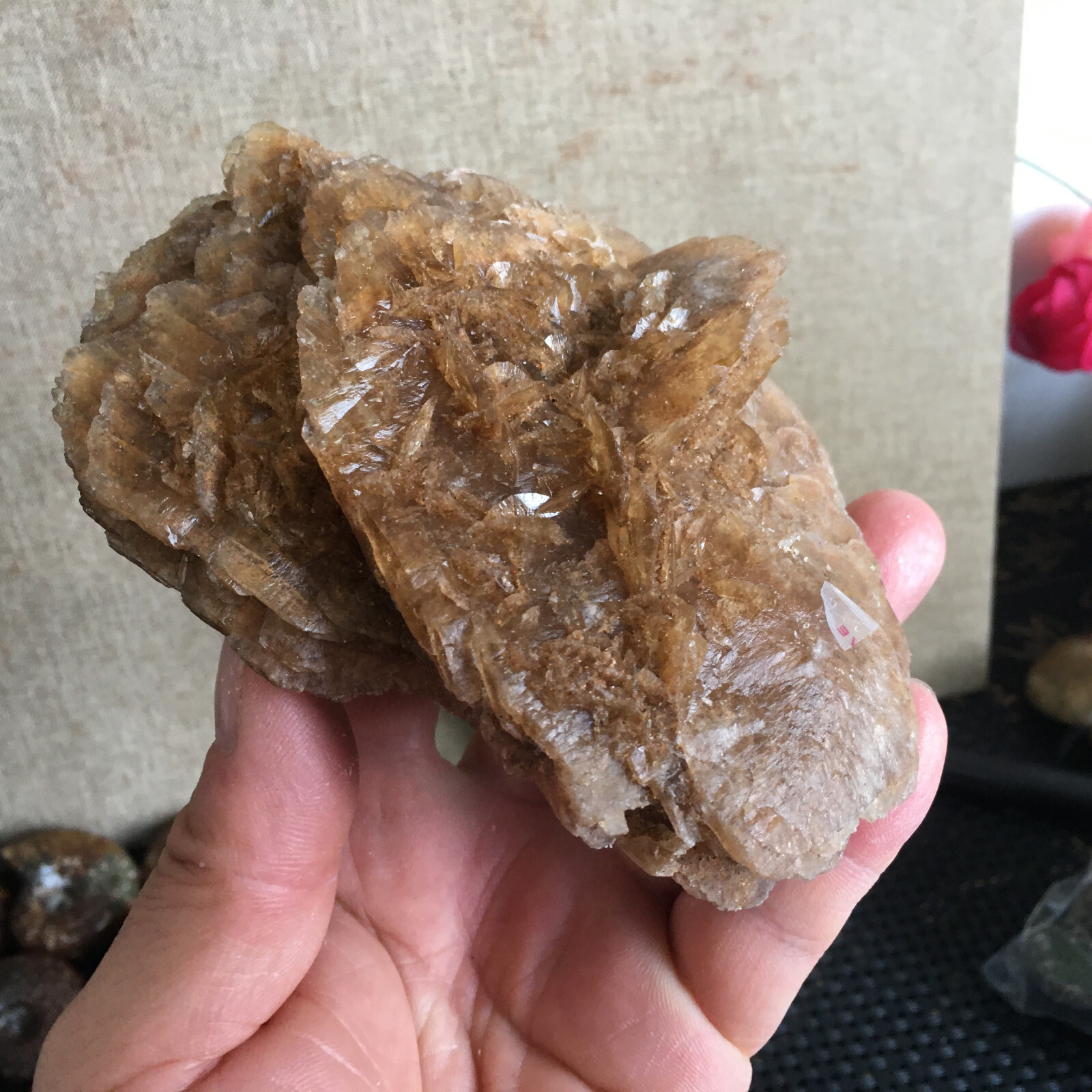 449g Natural Crystal Stone Desert Rose Specimen Decoration B1562