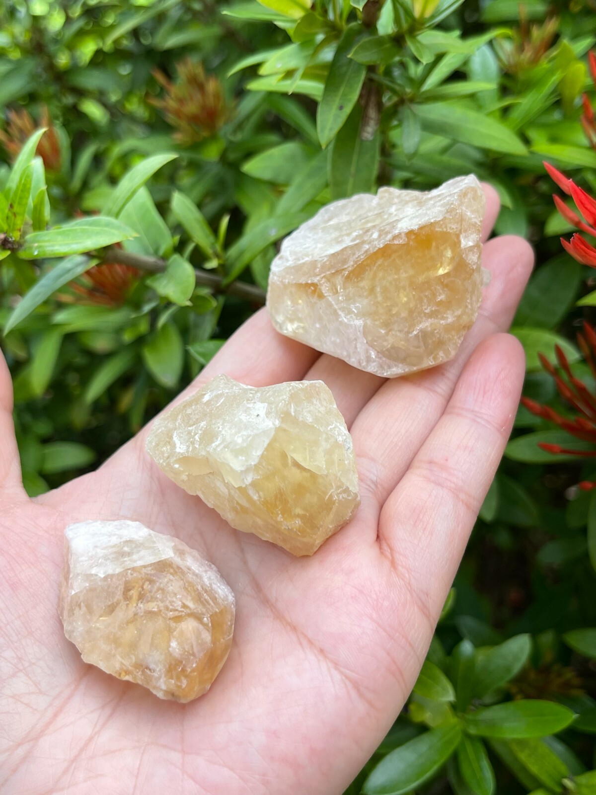 Citrine Raw Stone, 1.25″ – 2″ Rough Citrine Chunks, Raw Citrine Stones