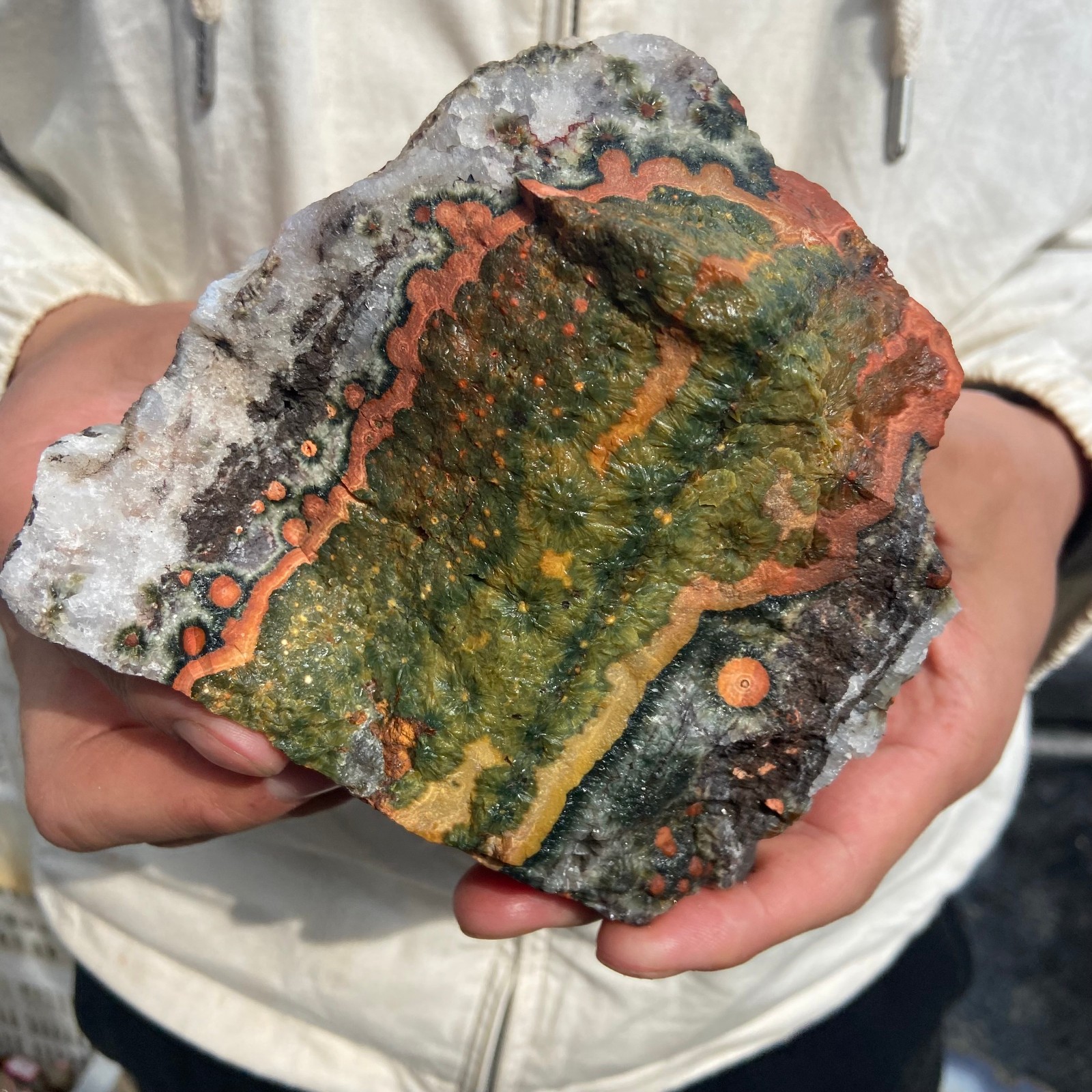 2.6lb Rare Natural colourful ocean jasper quartz crystal rough mineral specimen