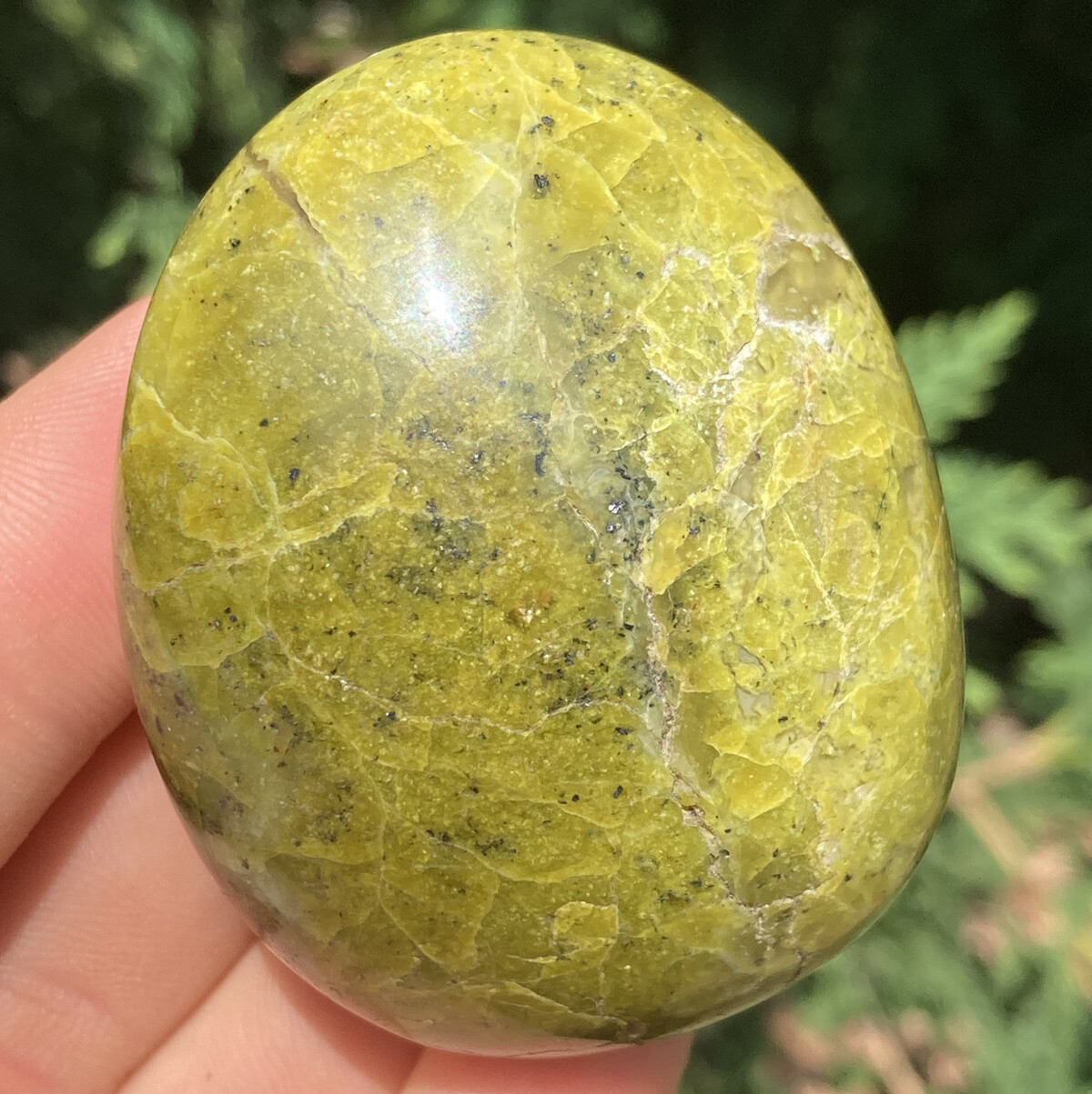 Handmade Polished GREEN OPAL Healing Crystal Palm Stone Pebble MADAGASCAR 2.28″