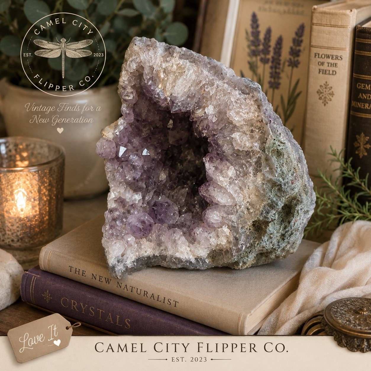 Natural Amethyst Crystal Geode Half – 2 lb Purple Quartz Display Specimen