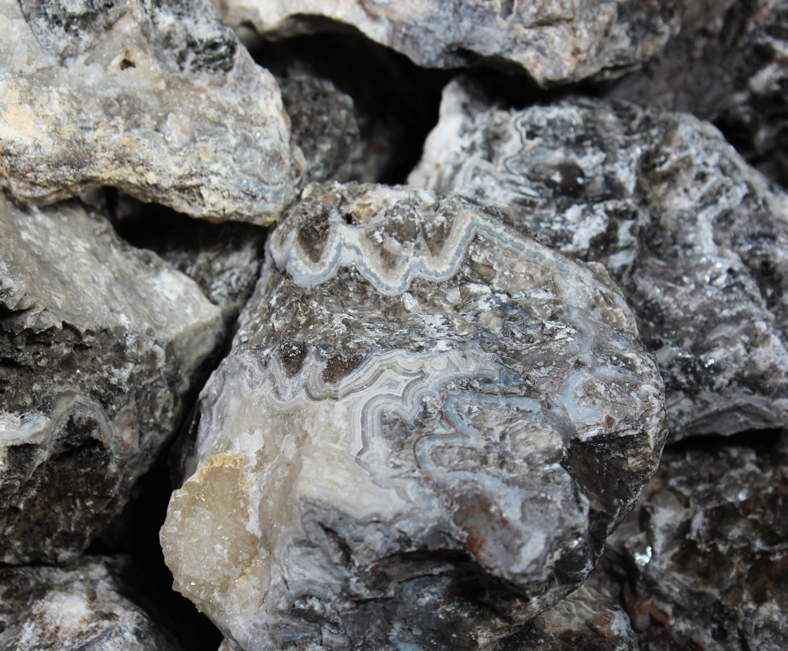 Tuxedo Lace Agate – “A” Grade Slabbing Rough – Bulk Wholesale Options