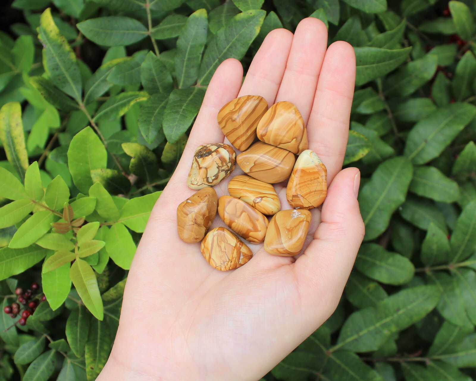 5 Walnut Jasper Tumbled Stones (Premium Quality ‘A’ Grade)