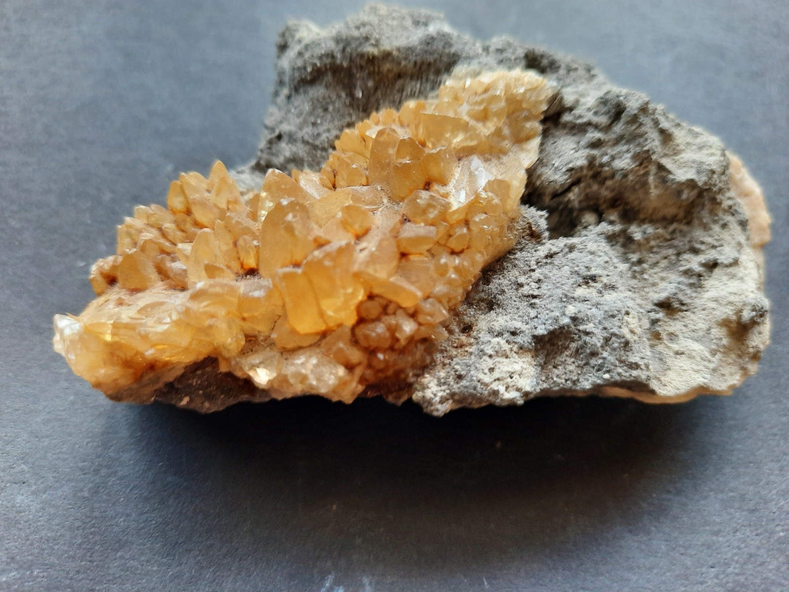 Golden Yellow Honey Calcite Crystals on Fossil Mangrove Clam Shell Rucks Pit