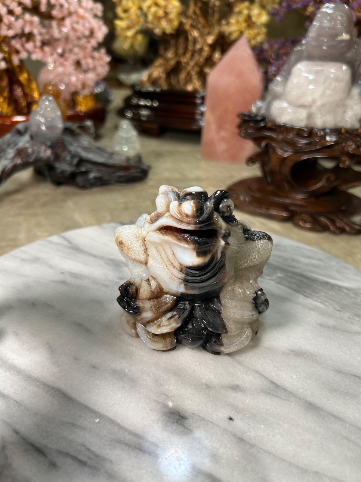 Agate Golden Money Toad Jin Chan with agate coin on sandalwood stand custom