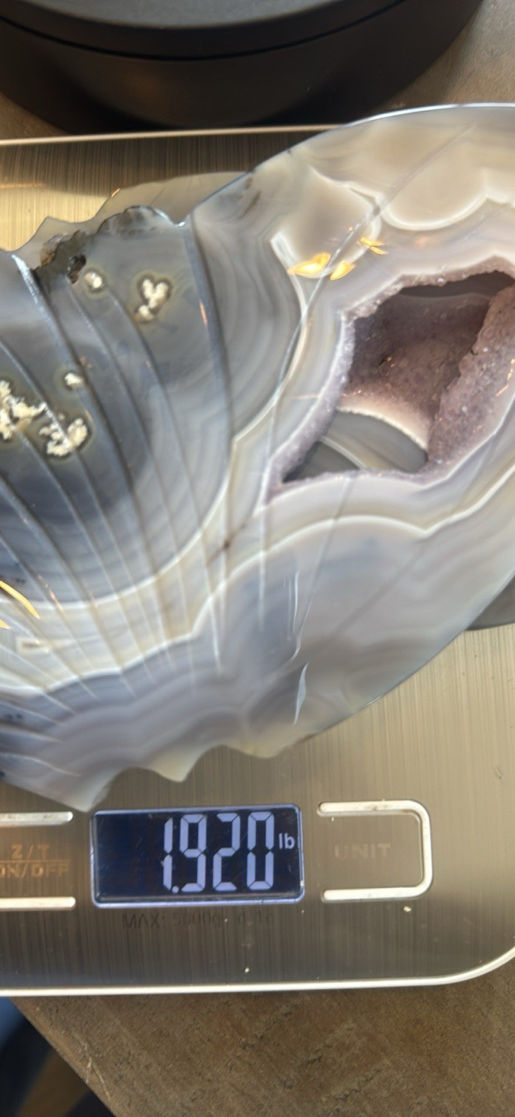Blue Agate Druzy Butterfly Wings With Stand 1.92 lbs