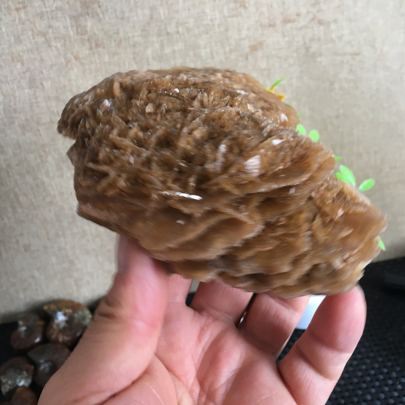 449g Natural Crystal Stone Desert Rose Specimen Decoration B1562