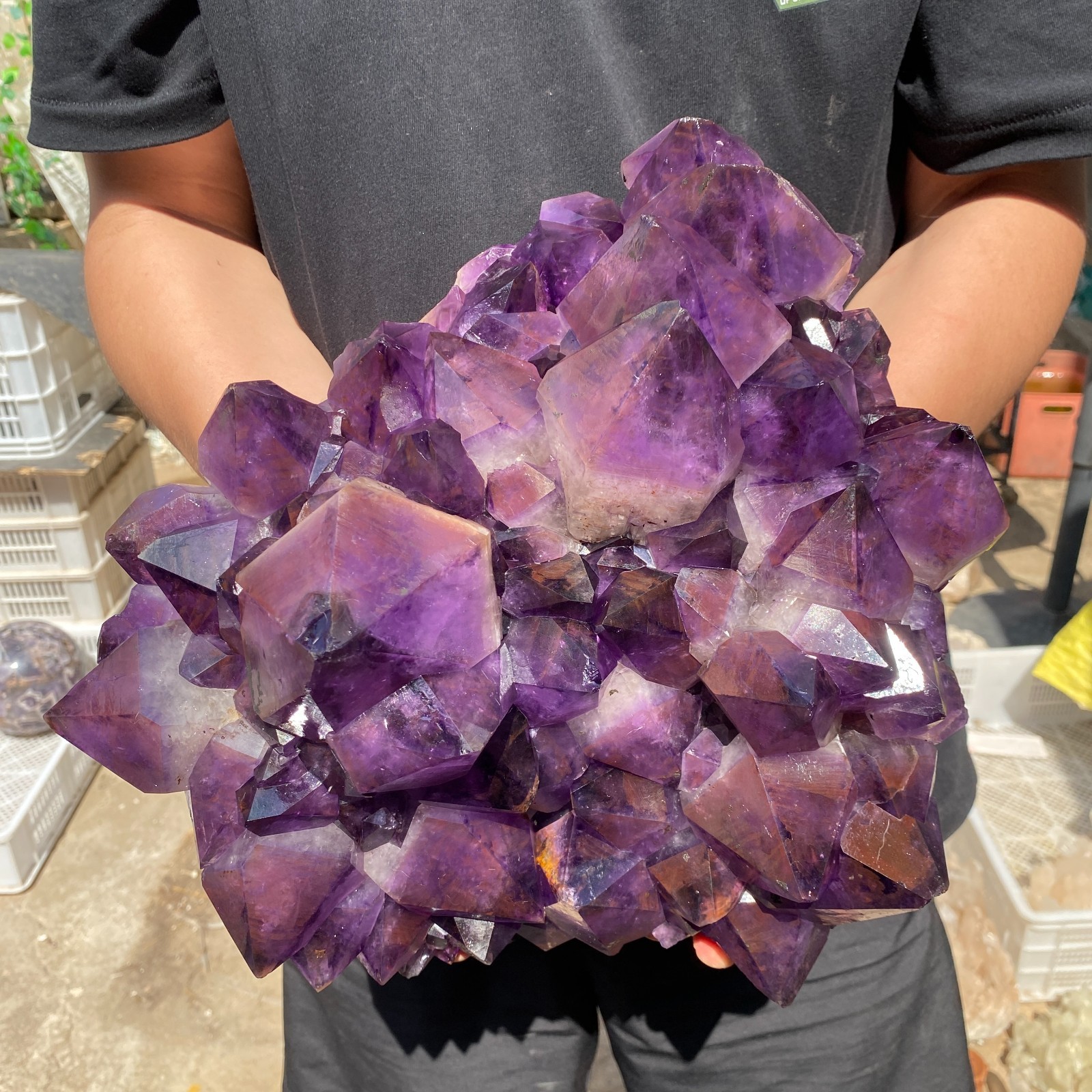26.2lb Natural Amethyst geode quartz cluster crystal specimen Healing