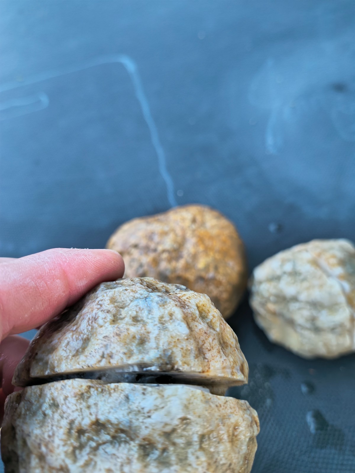 3 LB Kentucky KY Geodes Pre-Scored Crack Your Own Set 4 Piece Lot Hand Collected