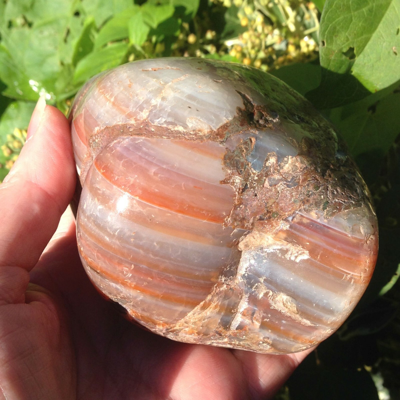 Large Rare Sardonyx Crystal Banded Agate Helps Stable Marriage 594g 9.5×7.3x6cm