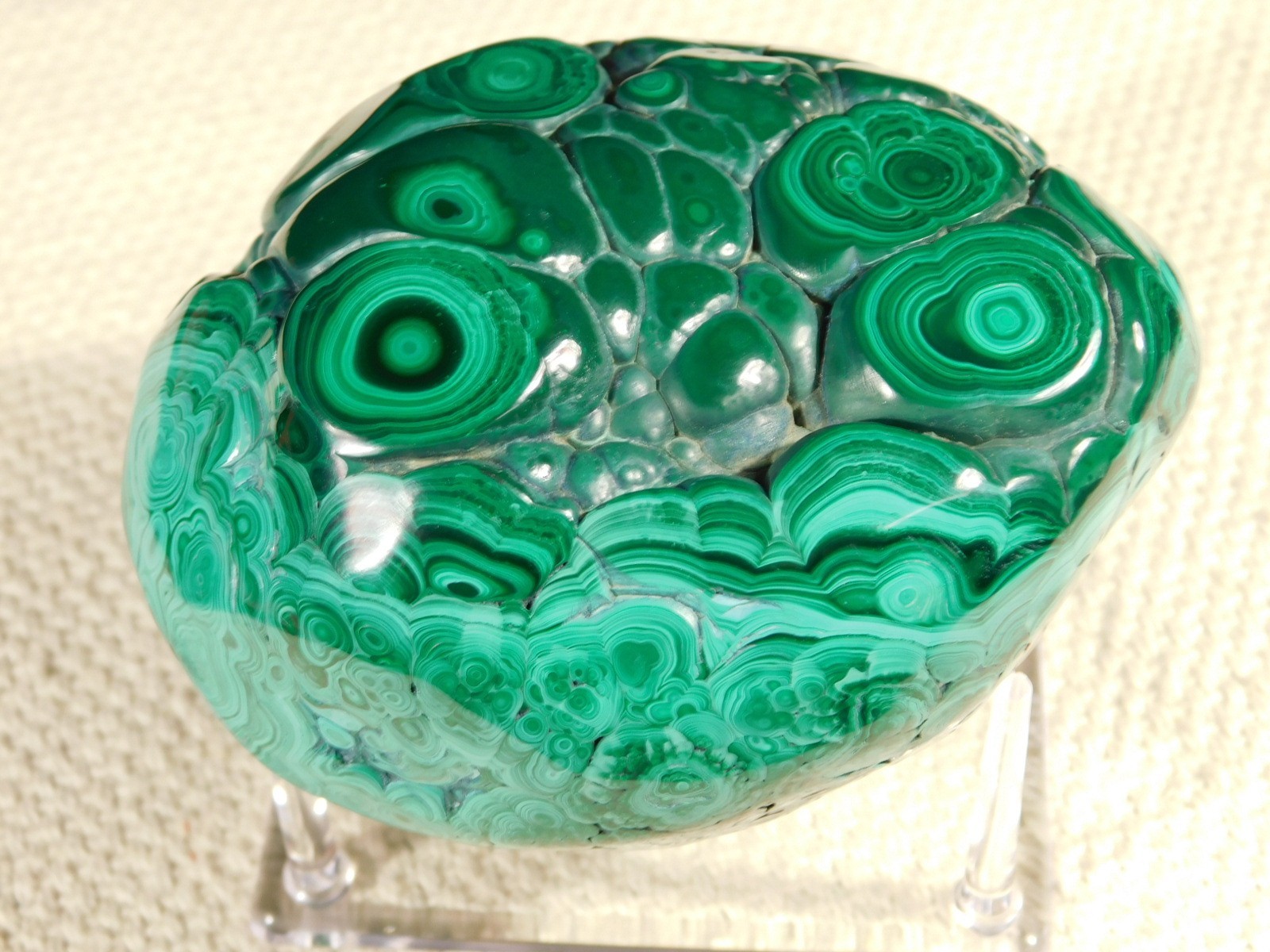 BIG! Polished Deep GREEN Malachite STALACTITE or Stalagmite w/Stand Congo 603gr