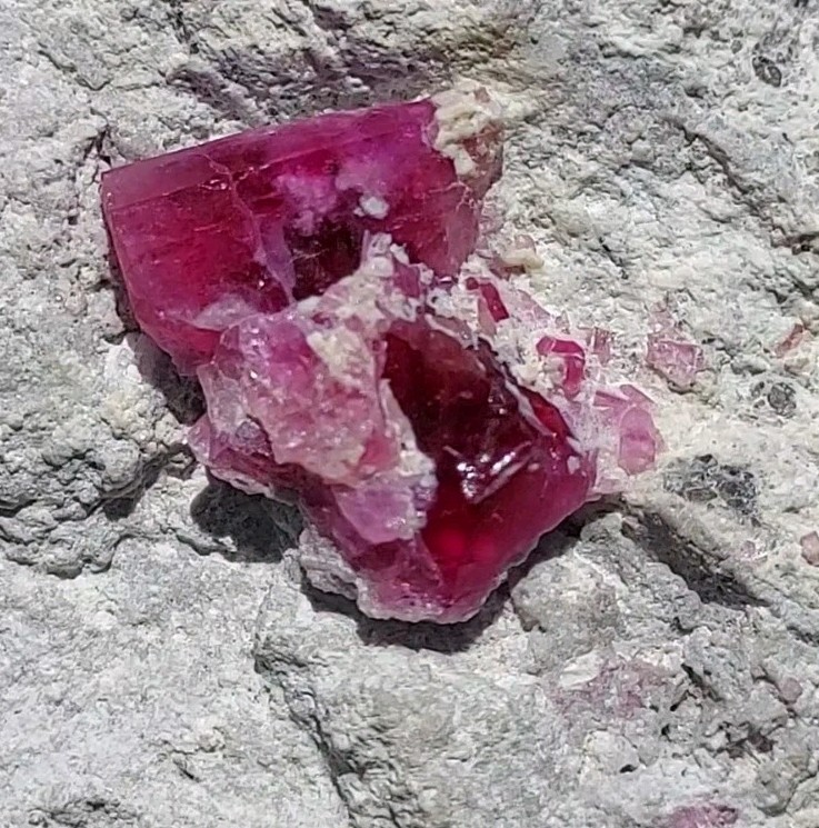 ULTRA GEM FACET GRADE SECTIONS LARGE RED BERYL / BIXBITE ON MATRIX UTAH, USA