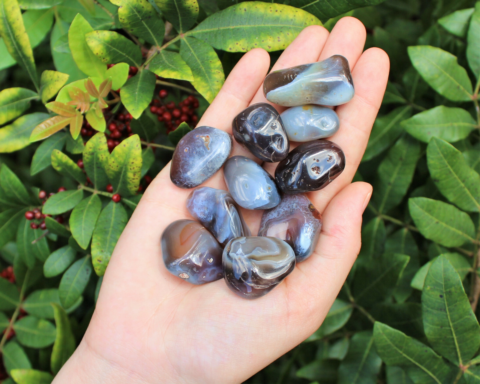 1/4 lb Botswana Grey Agate Tumbled Stone Crystal Healing Gemstone 4 oz