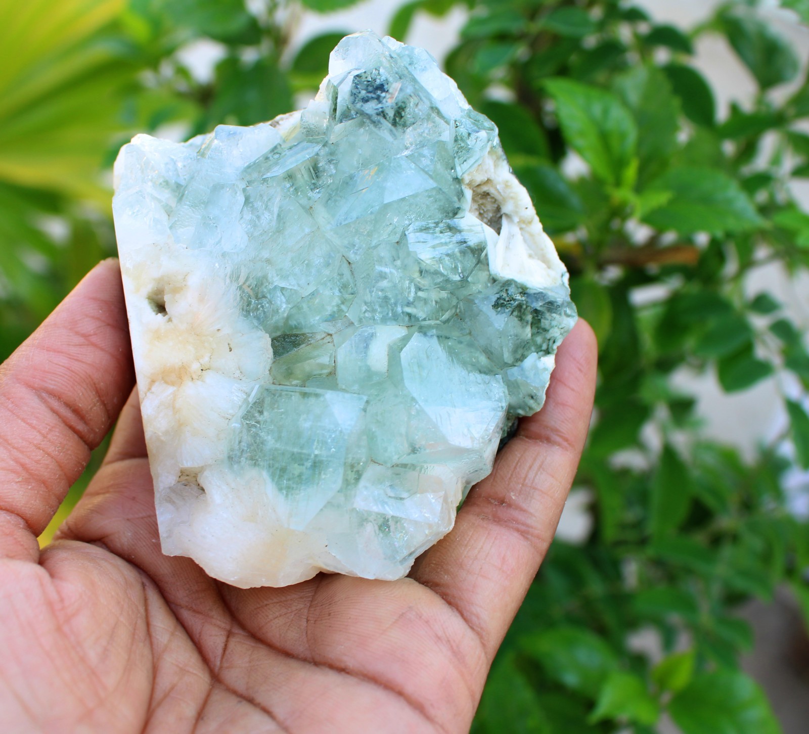 green apophyllite crystals on matrix minerals specimen #A43