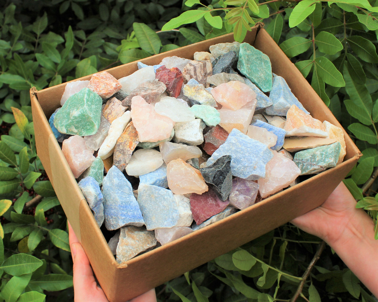 Garden Mix Assorted Rough Stones: 8 lb Bulk Clearance Box (Raw Natural Rocks)