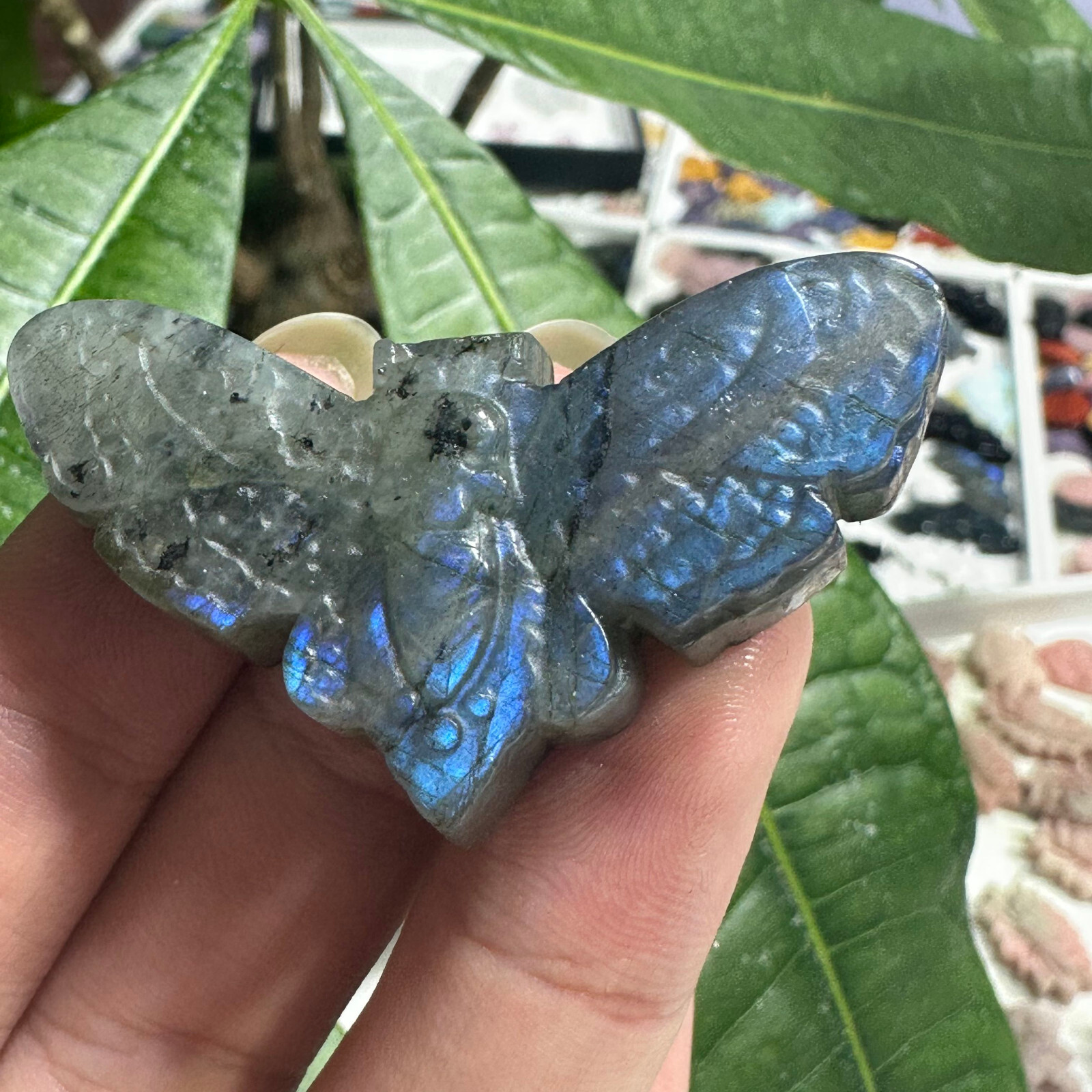 Natural Labradorite Ghost face Moth Specimen Quartz Skull Crystal Reiki Healing