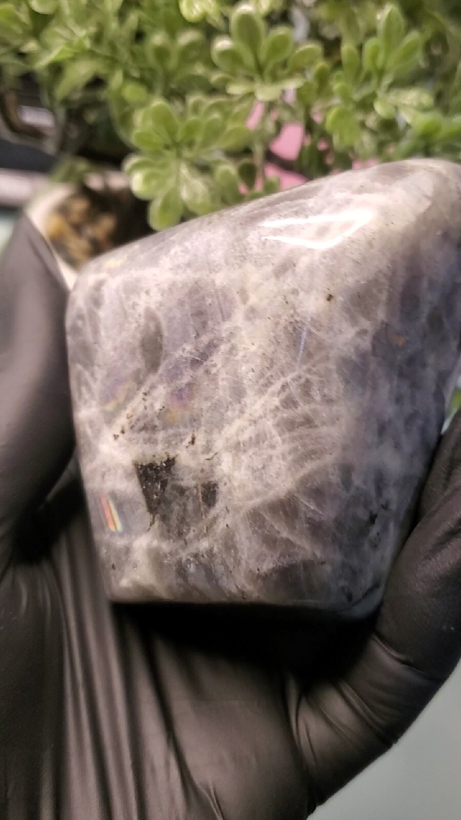 354g Natural Labradorite Quartz Crystal Freeform Mineral Specimen Healing