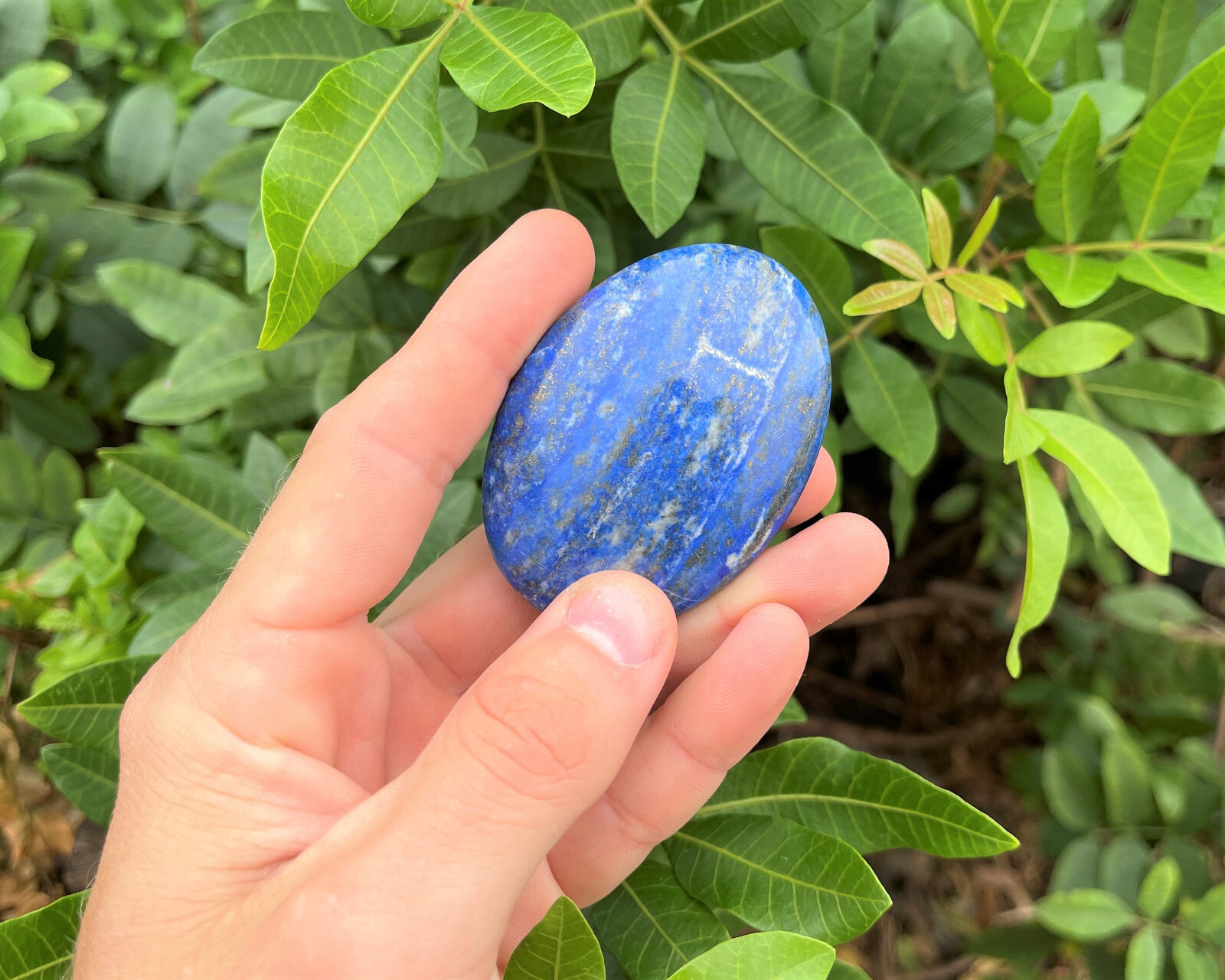Lapis Palm Stone MEDIUM, 2.5 – 3″ (Lapis Lazuli Polished Gemstone Worry Stone)