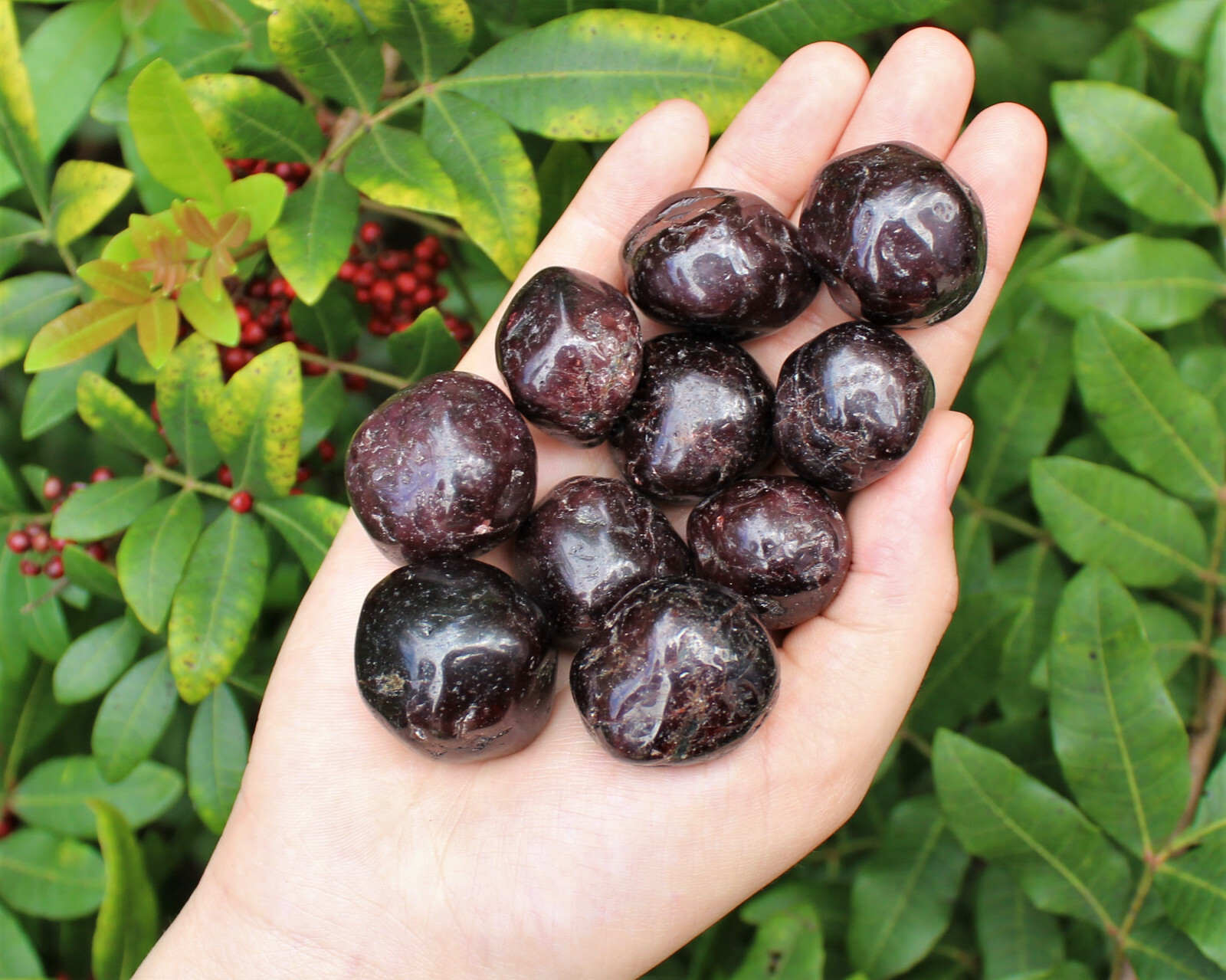 1 Garnet Tumbled Stone: Medium 0.75 – 1″ (Crystal Healing Reiki Chakra)