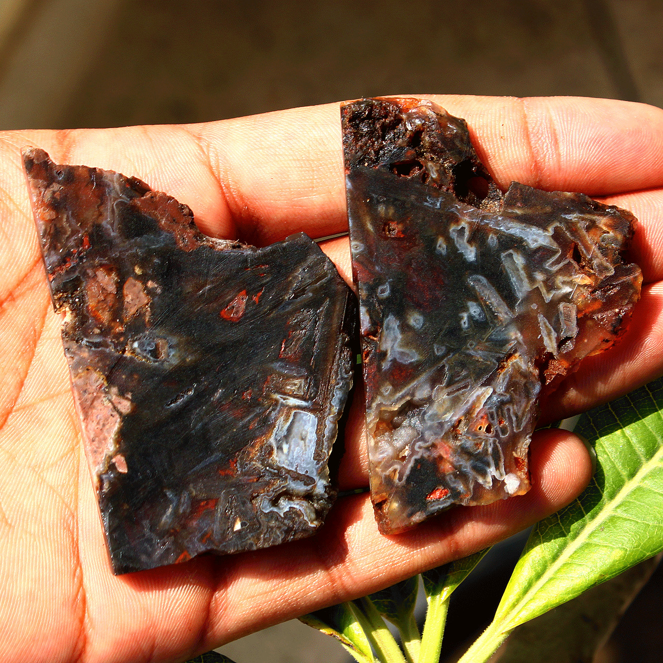 2 Pcs Natural Turkish Agate Stick Agate Raw Crystal Slice Druzy Mineral Specimen