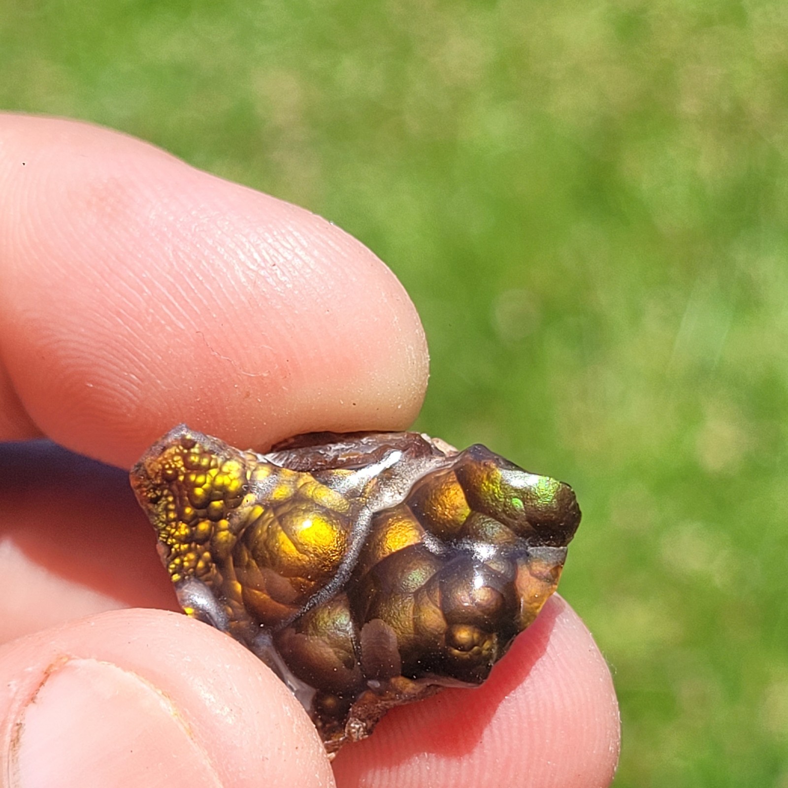 High Quality AAA Polished Fire Agate specimen 3.6gram 18ct