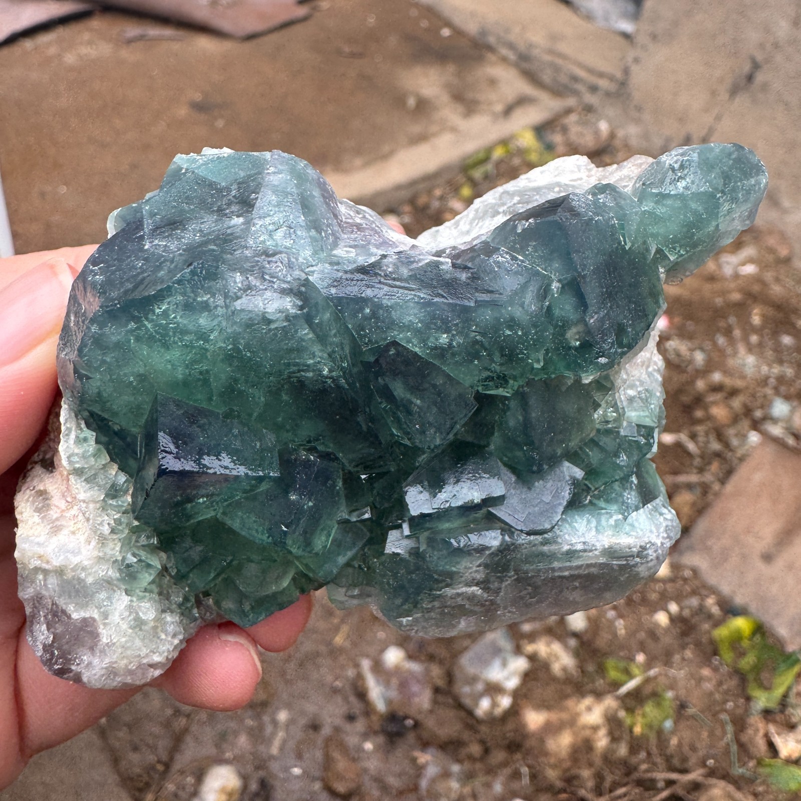 240G Natural cubic green fluorite crystal cluster rough mineral specimen Healing
