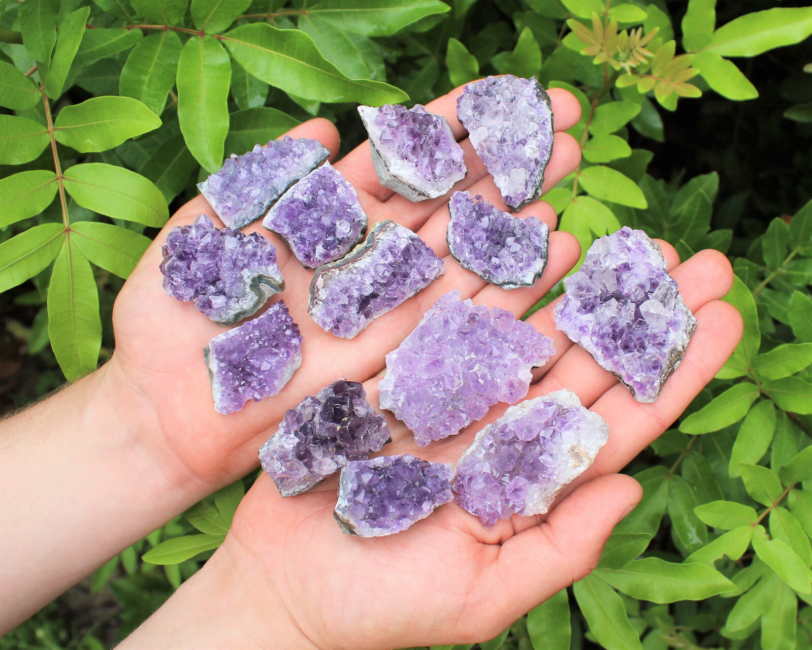 Wholesale Bulk Natural Amethyst Crystal Clusters: 10-16 Piece Lot (Quartz Geode)