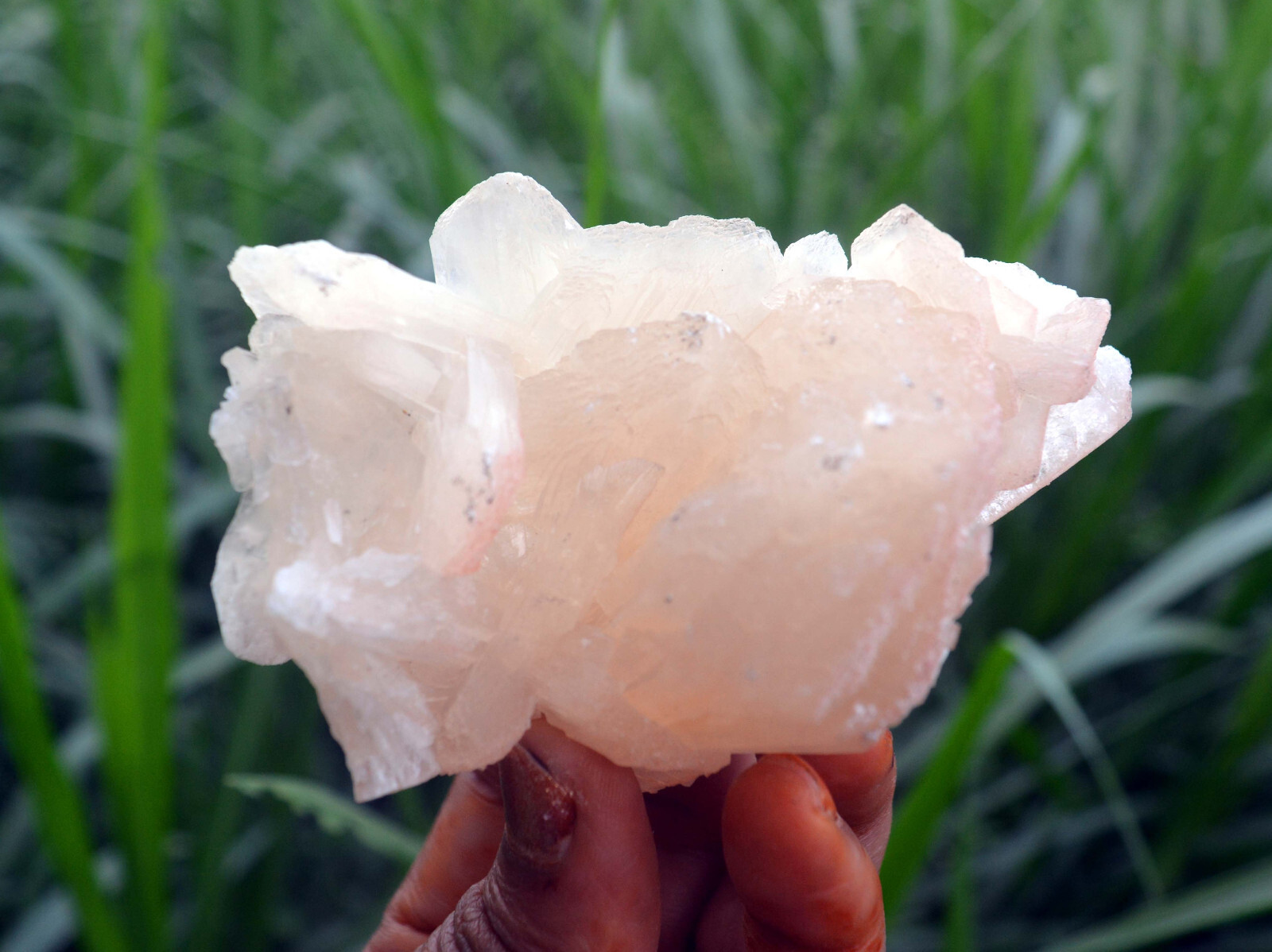 stilbite crystals w/ heulandite minerals specimen j-7