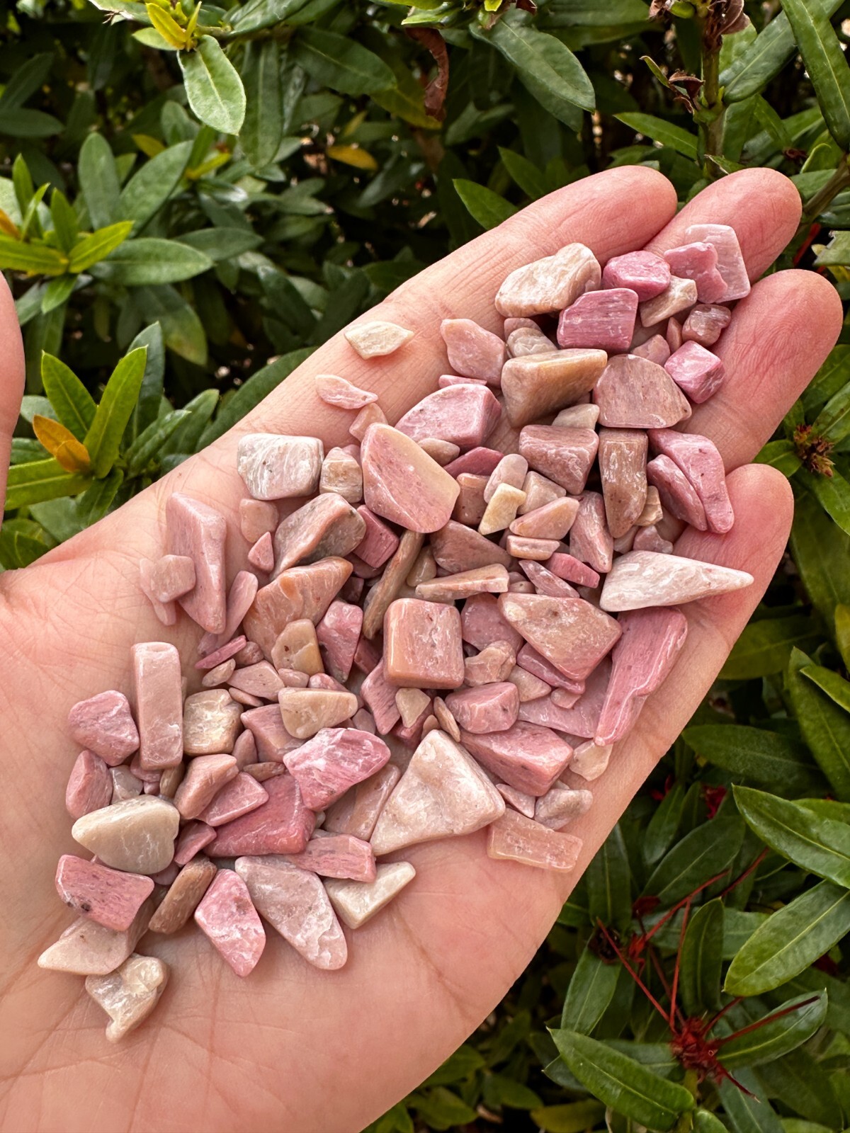 Grade A++ Pink Opal Semi Tumbled Gemstone Chips 2 – 13mm, Wholesale Bulk Lot