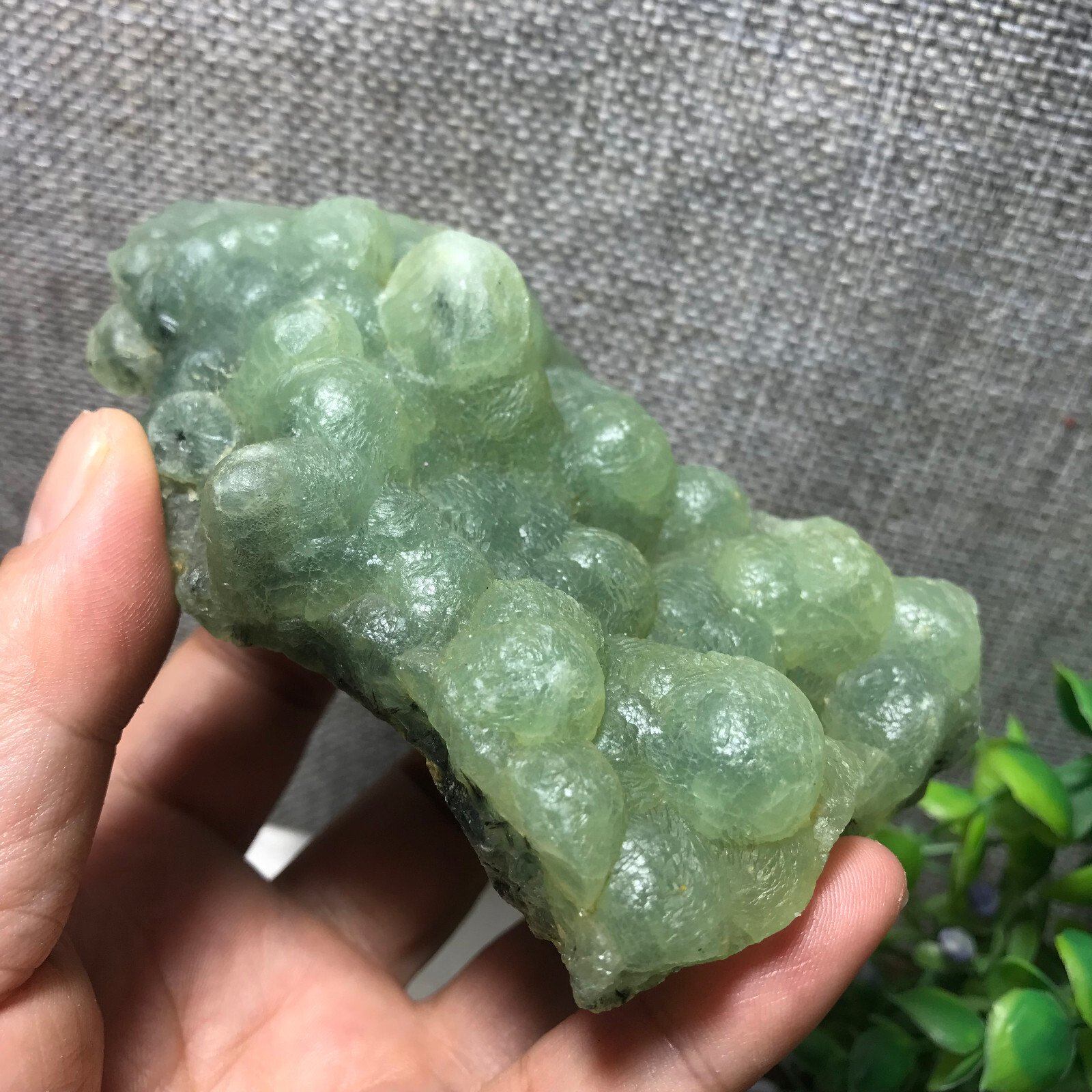 265g Natural Green chalcedony grape agate crystal specimen Indonesia 05