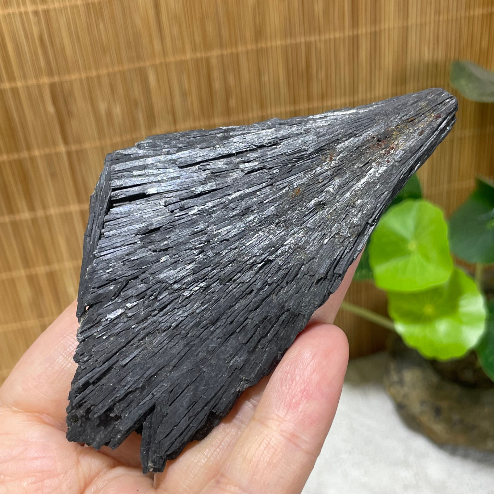 75g Natural Irregular natural black crystal cluster mineral specimen（dian qishi）