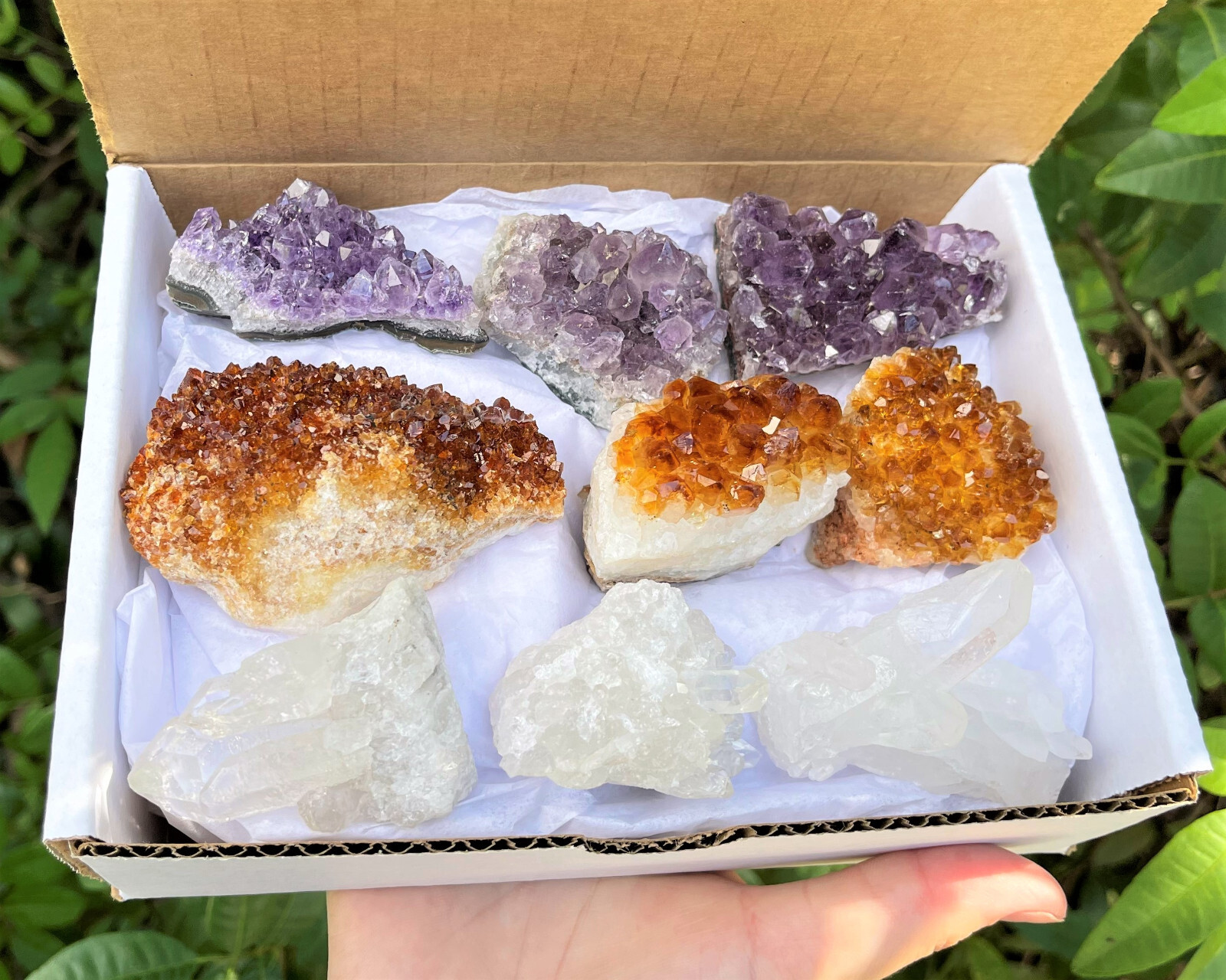 Bulk Citrine Amethyst Clear Quartz Crystal Clusters Box: 9-14 Piece Lot