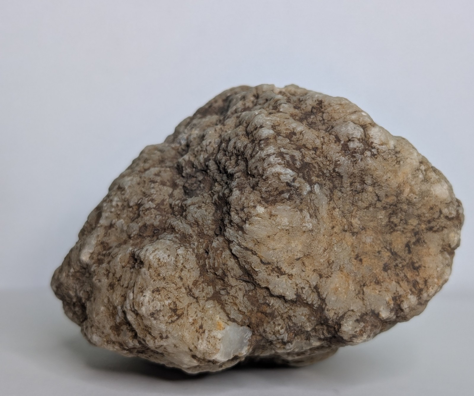 2lb Unopened Geode Crystal Mineral Specimen Natural Quartz Break Your Own