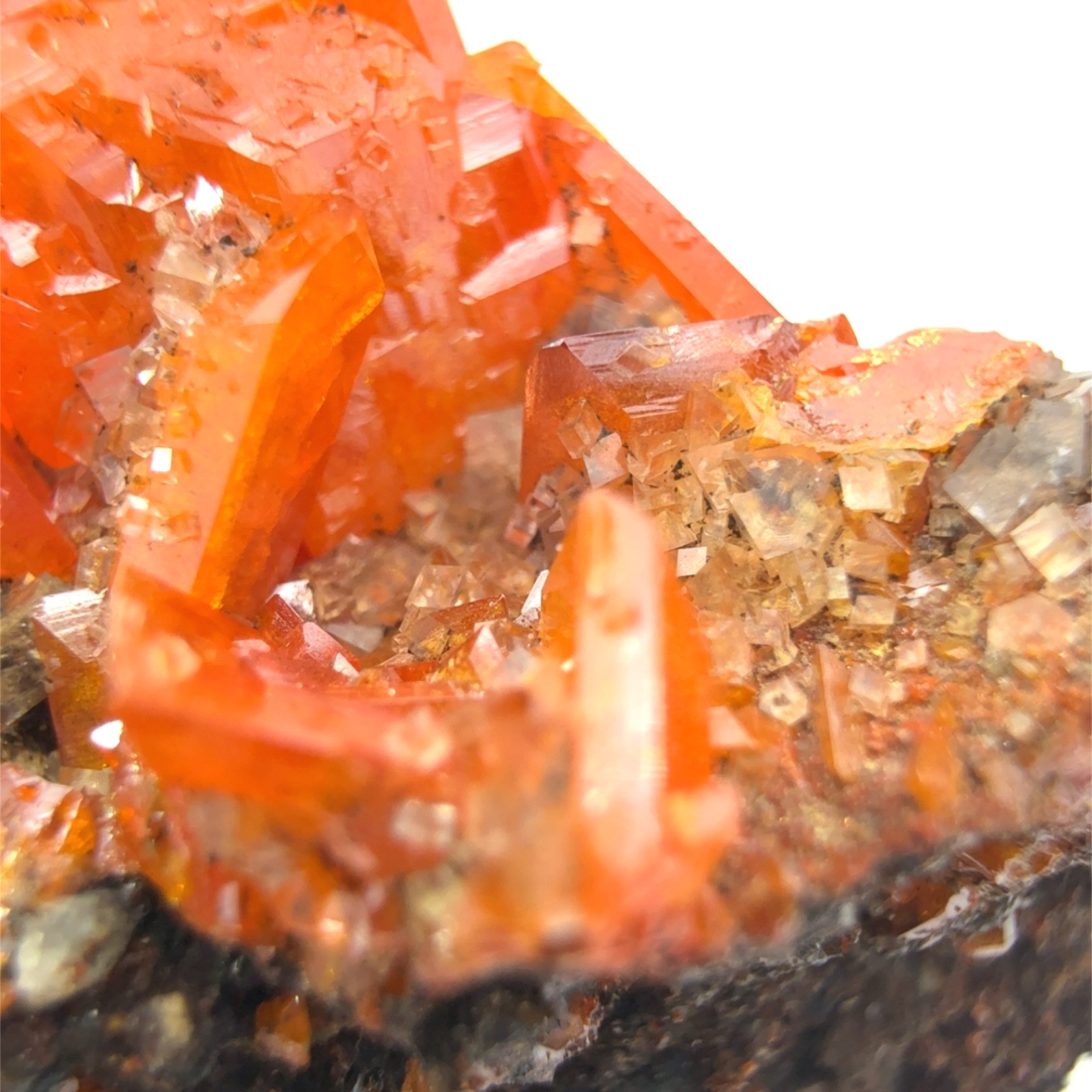 GEM WULFENITE CLUSTER ON MATRIX FROM RED CLOUD MINE, AZ, USA – MINIATURE, 22g