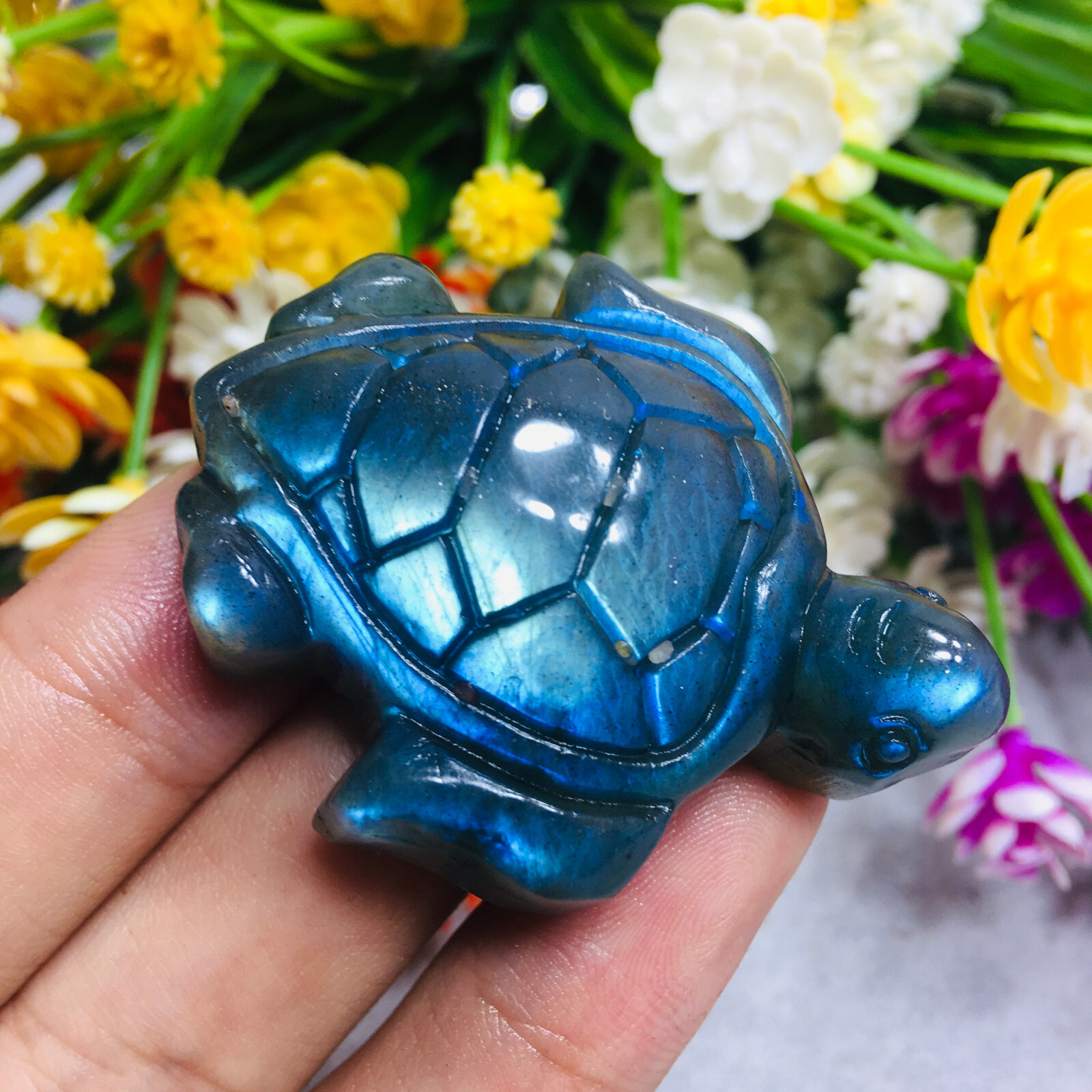 Natural Labradorite tortoise Quartz Skull Crystal Sea Turtle Reiki Healing Gift