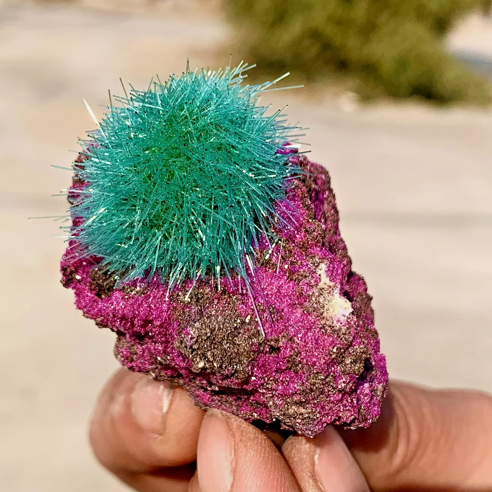 RARE Dandelion Zeolite Cluster Titanium Geode Quartz Crystal Healing Specimens