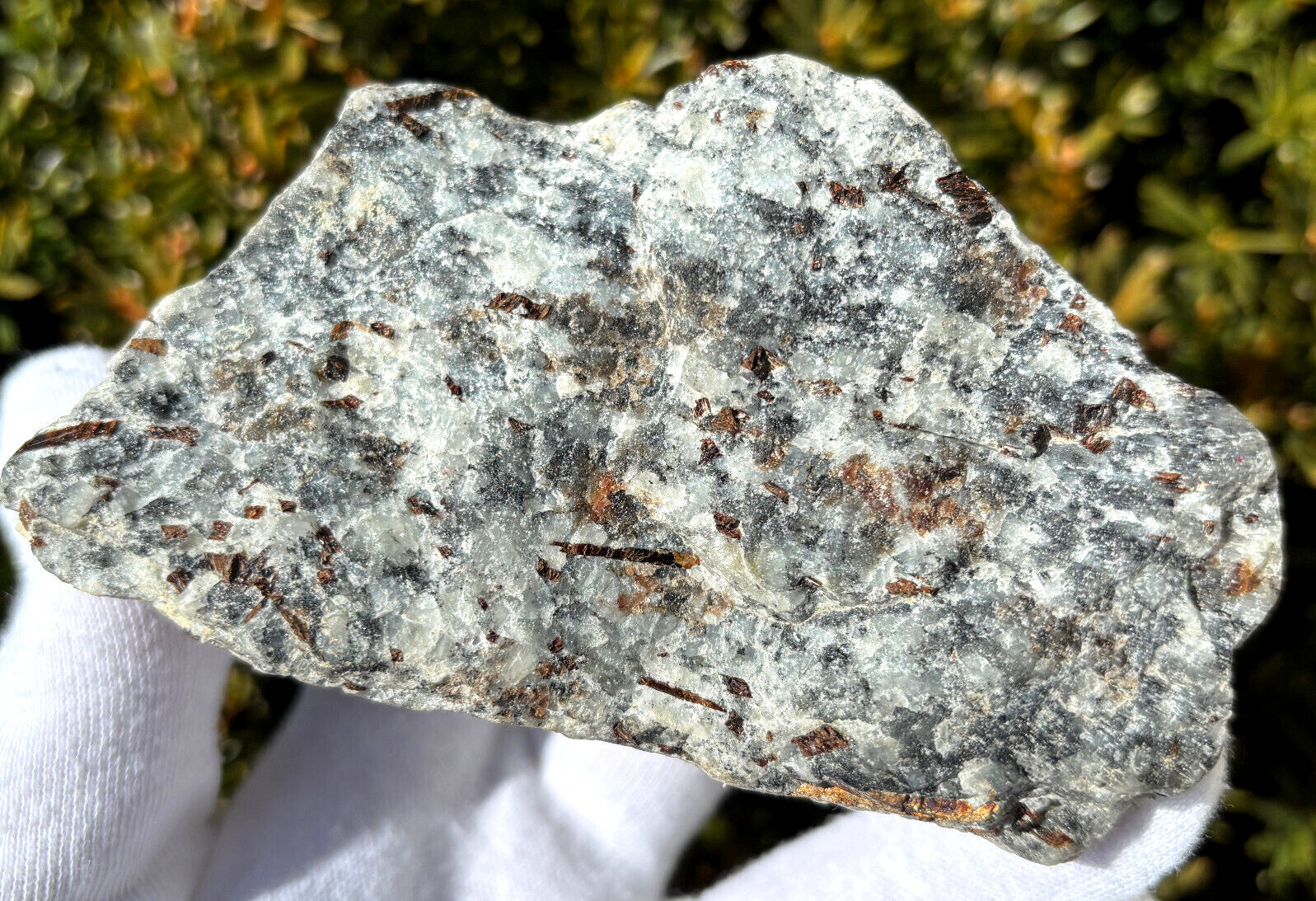 USA SALE SEE VIDEO 4″ 309g 2/3LB AUTHENTIC ASTROPHYLLITE ROUGH SPECIMEN LAPIDARY