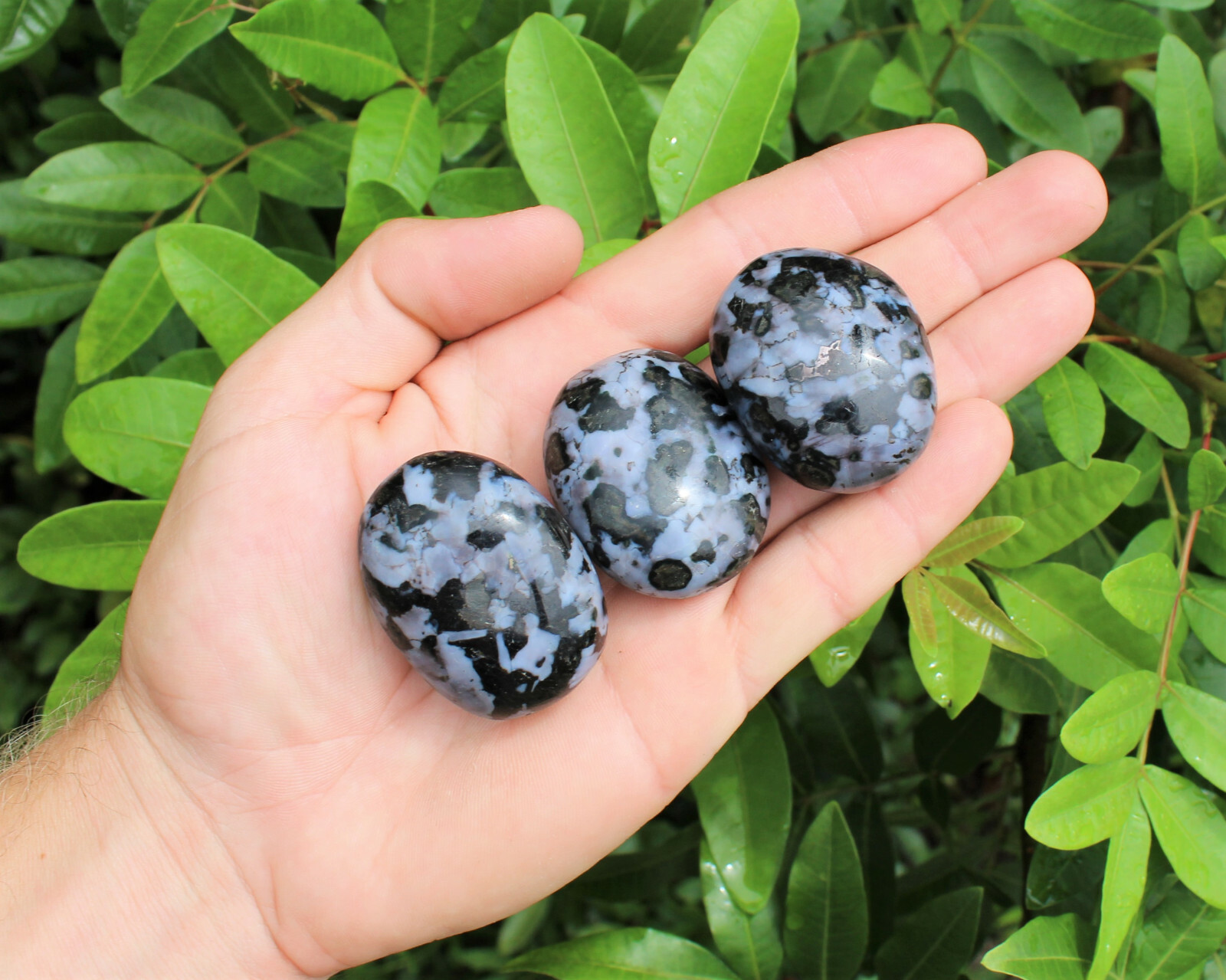 Indigo Gabbro Palm Stone: ‘A’ Grade, Indigo Gabbro Pebbles, Hand Polished