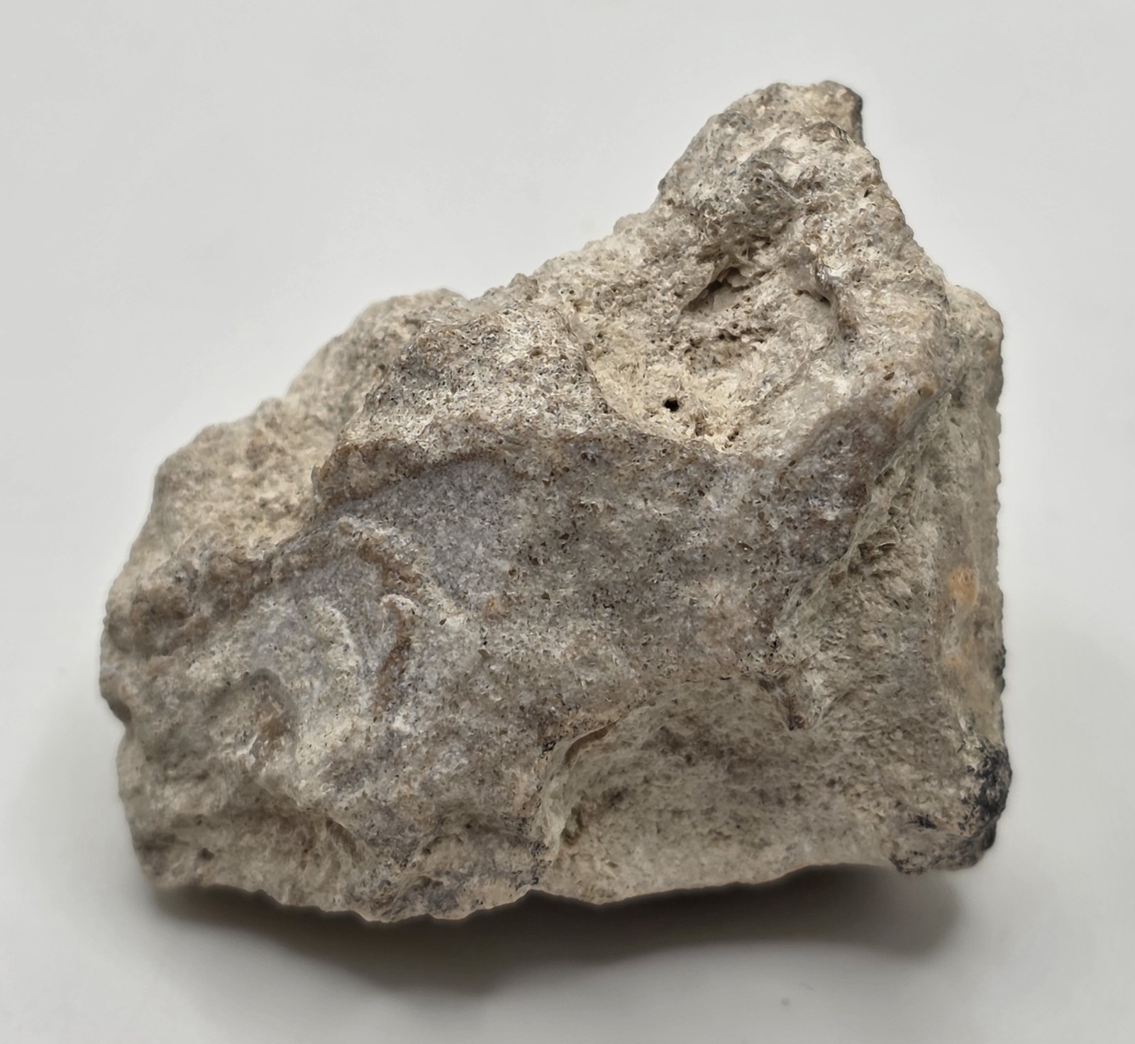 Rocks And Minerals: Shell Fossil 56 Grams