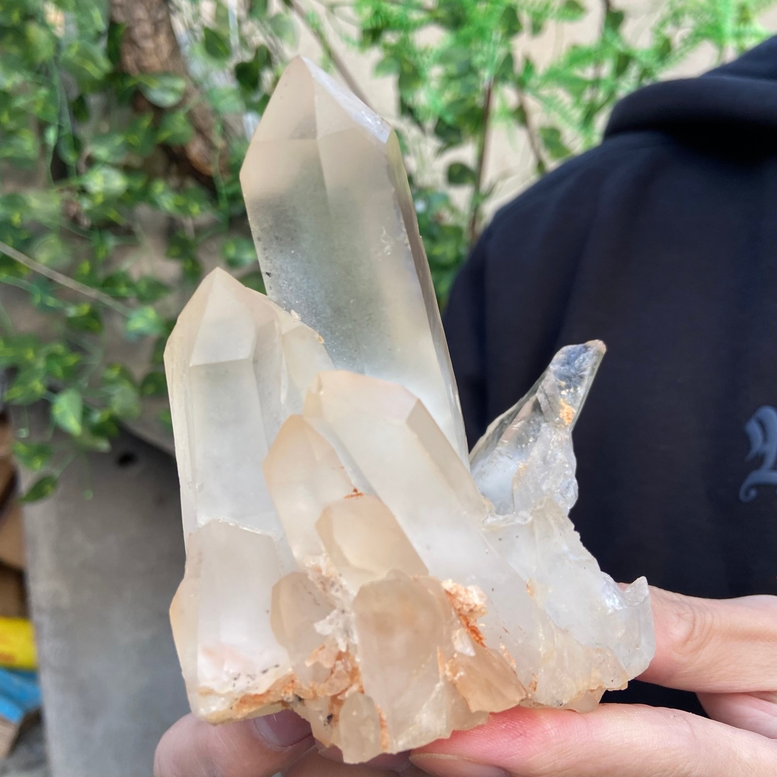 1.5lb Natural Clear White Quartz Crystal Cluster Rough Healing Specimen