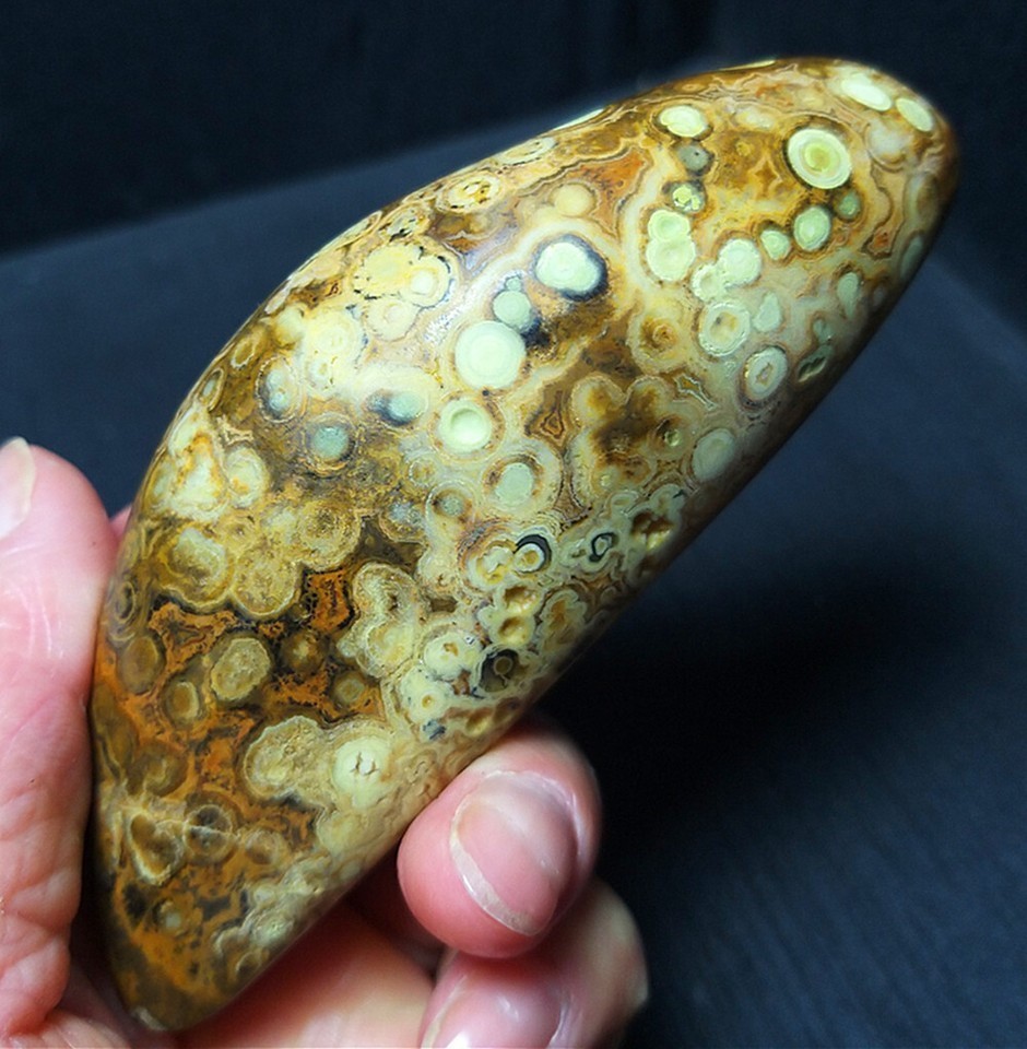 Rare 204G 1 Pair Natural Inner Mongolia Gobi Eye Agate Geode Collection CAa2594
