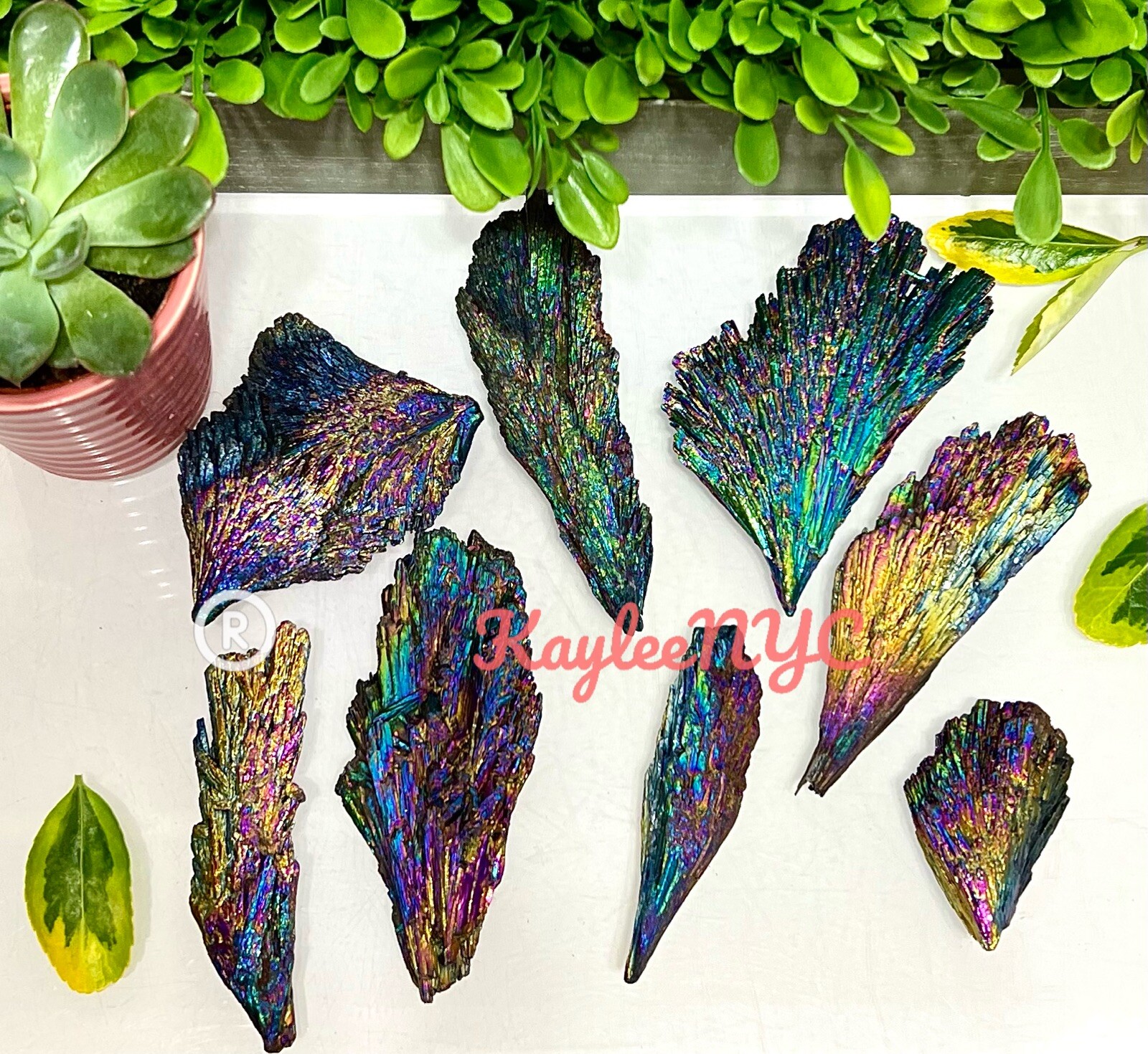 Wholesale Lot 1 Lb Titanium Black Kyanite Raw Crystal Healing Energy