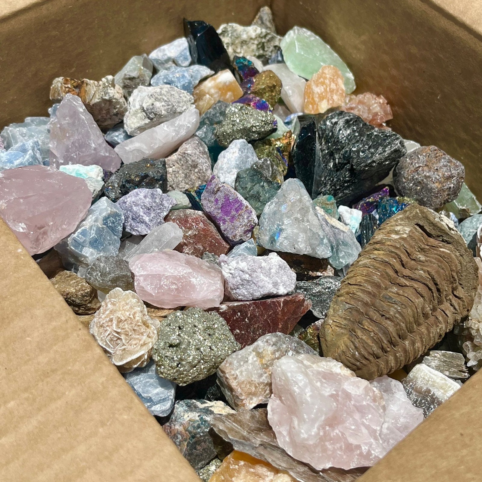20 lbs Mixed Rough Crystals Bulk Lot A Grade Natural Assorted Stones