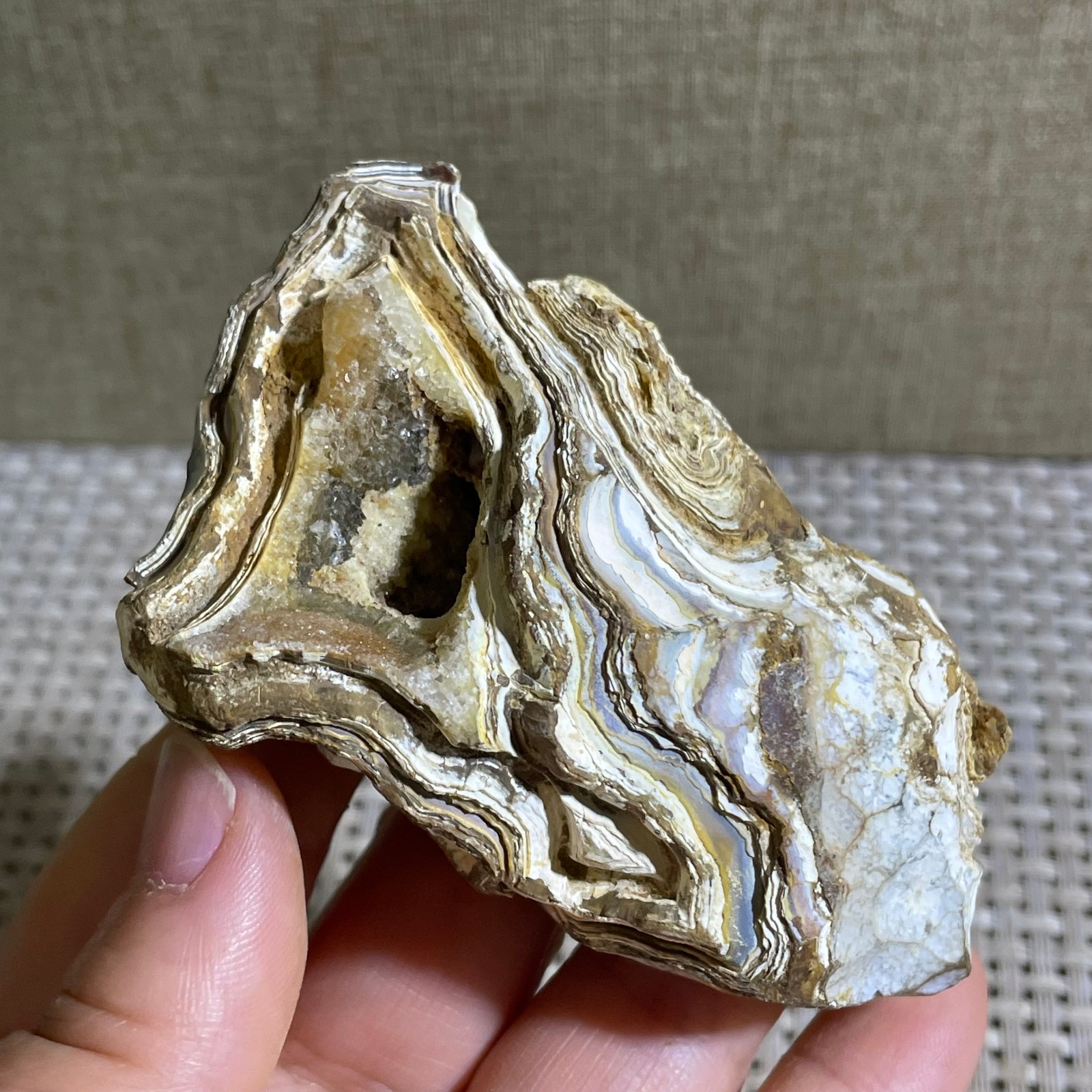 120g Bonsai Suiseki- Gobi Agate Eyes Stone-Rare Stunning Viewing